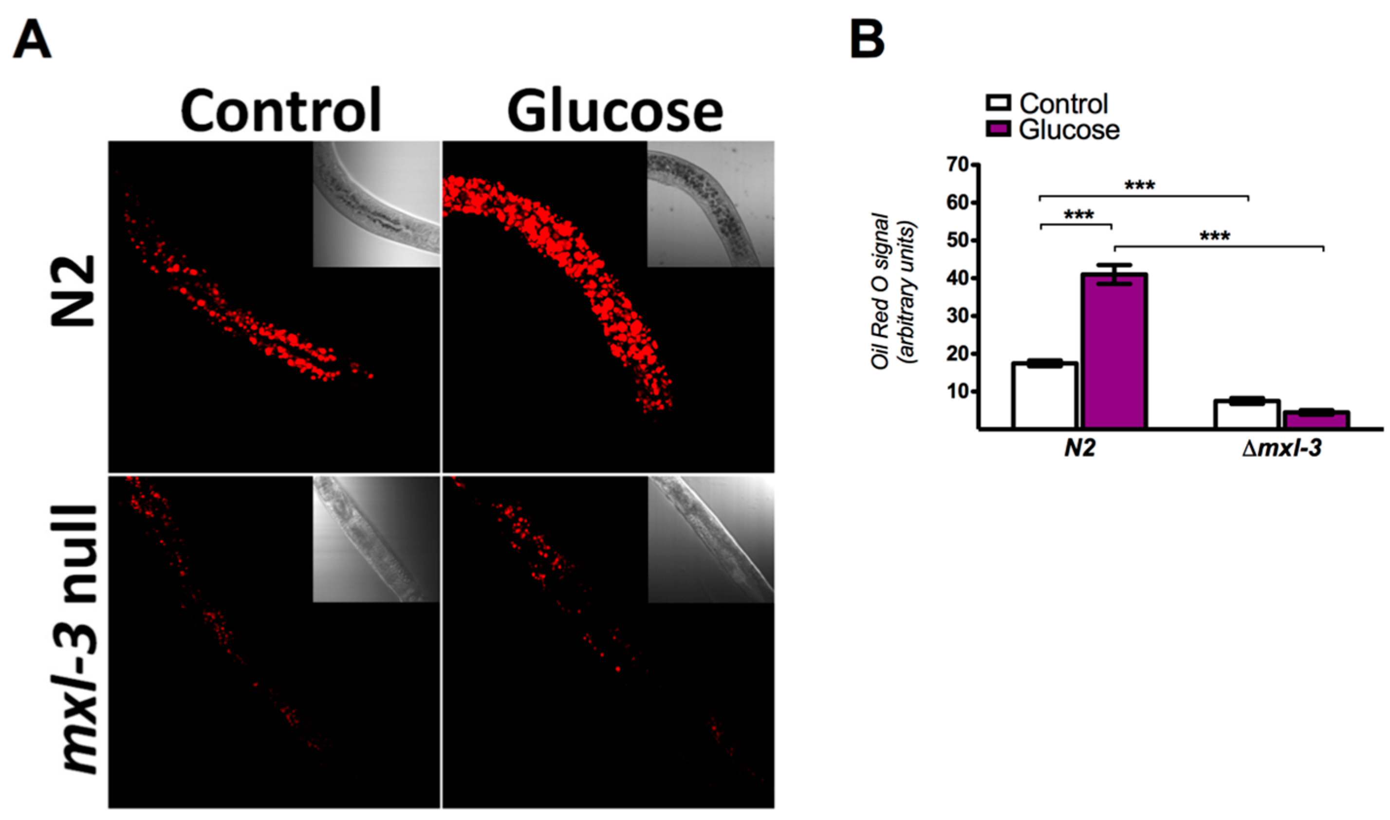 Genes 08 00307 g001 Genes 08 00307 g001