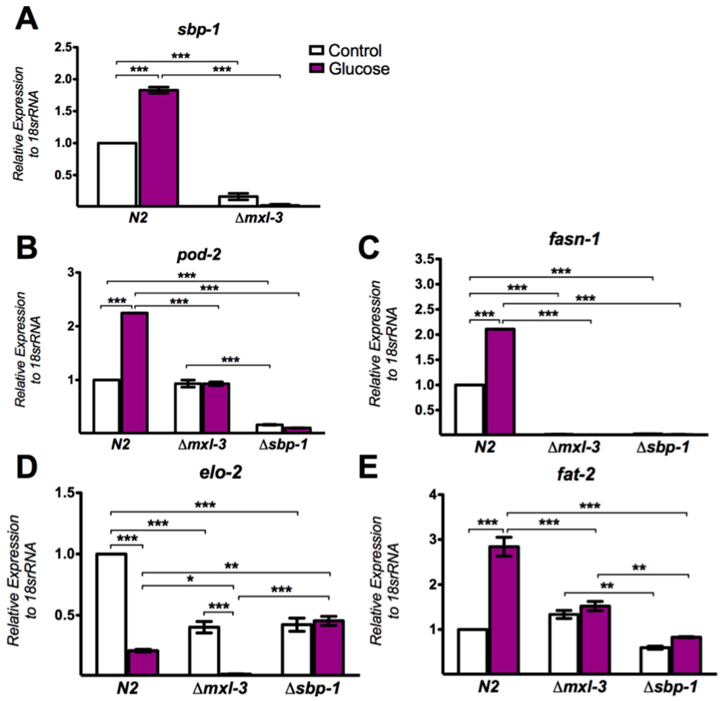 Genes 08 00307 g003 Genes 08 00307 g003