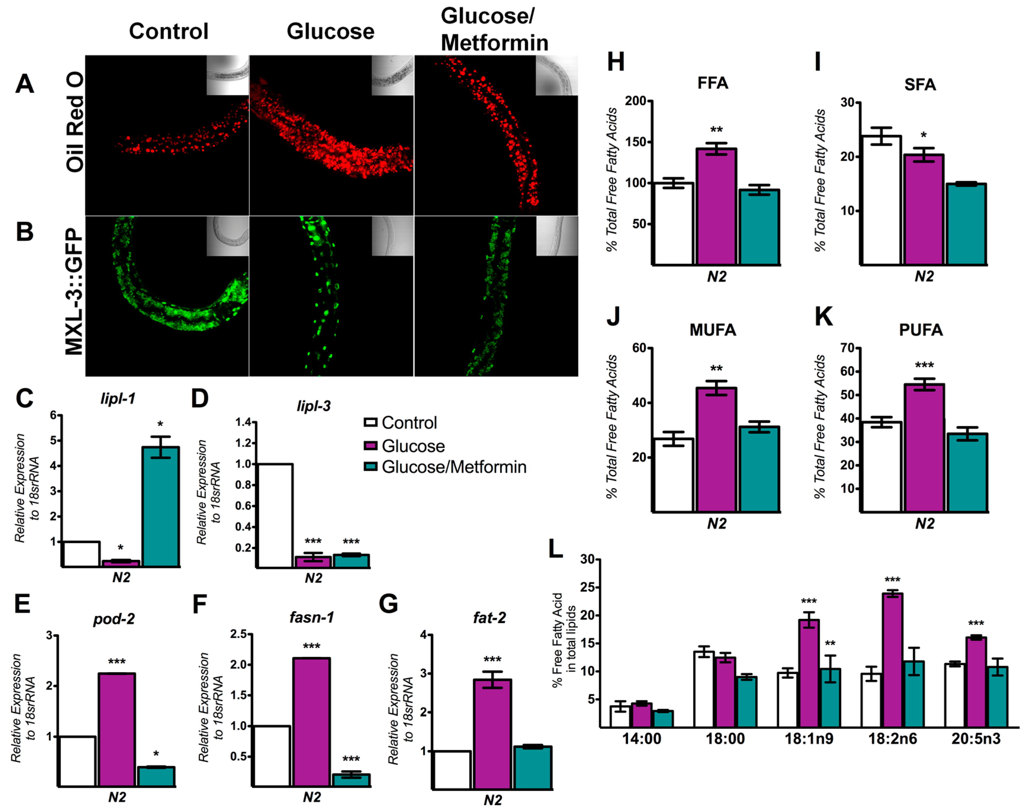Genes 08 00307 g005 Genes 08 00307 g005