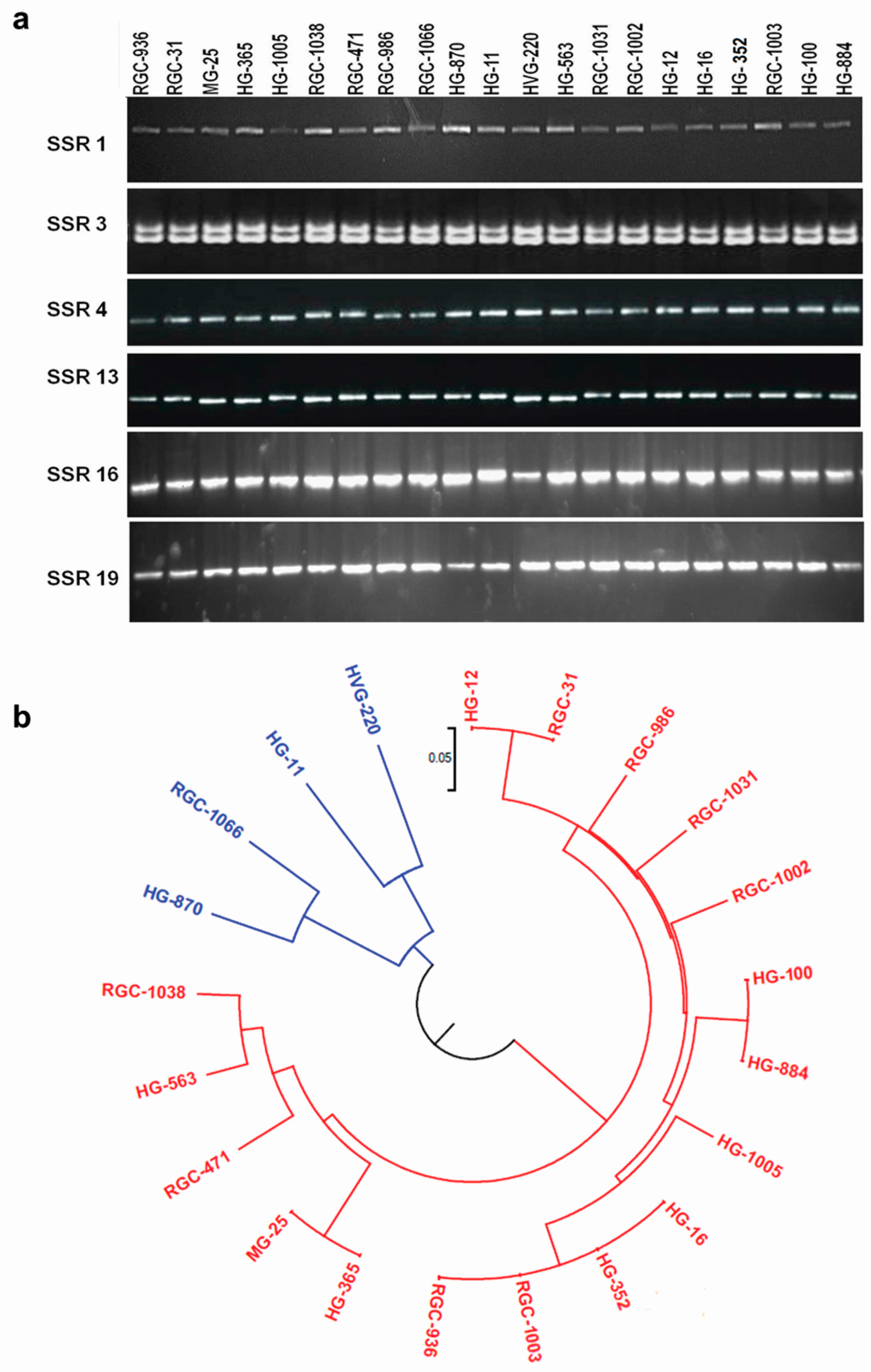 Genes 08 00313 g005 Genes 08 00313 g005