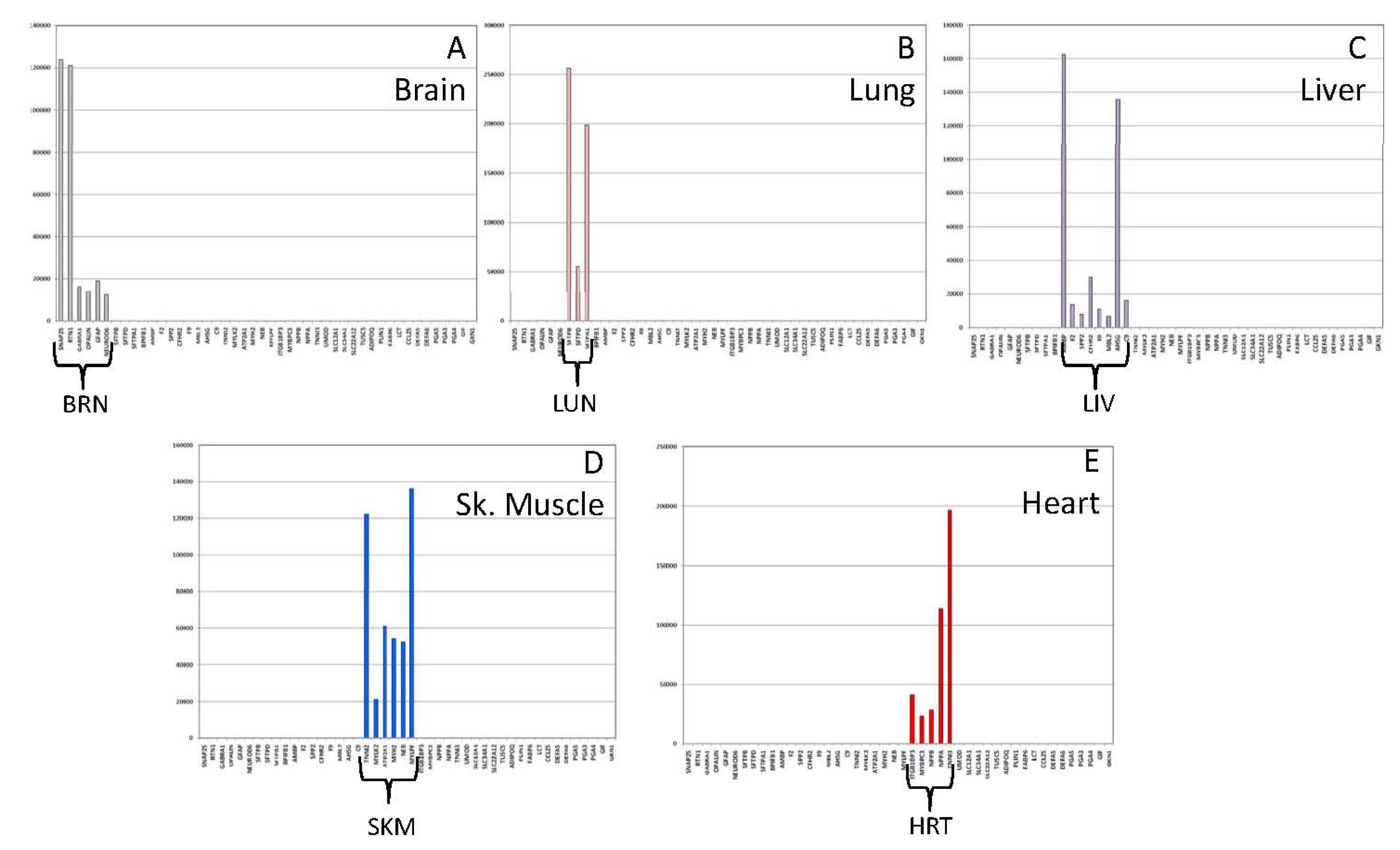 Genes 08 00319 g002 Genes 08 00319 g002