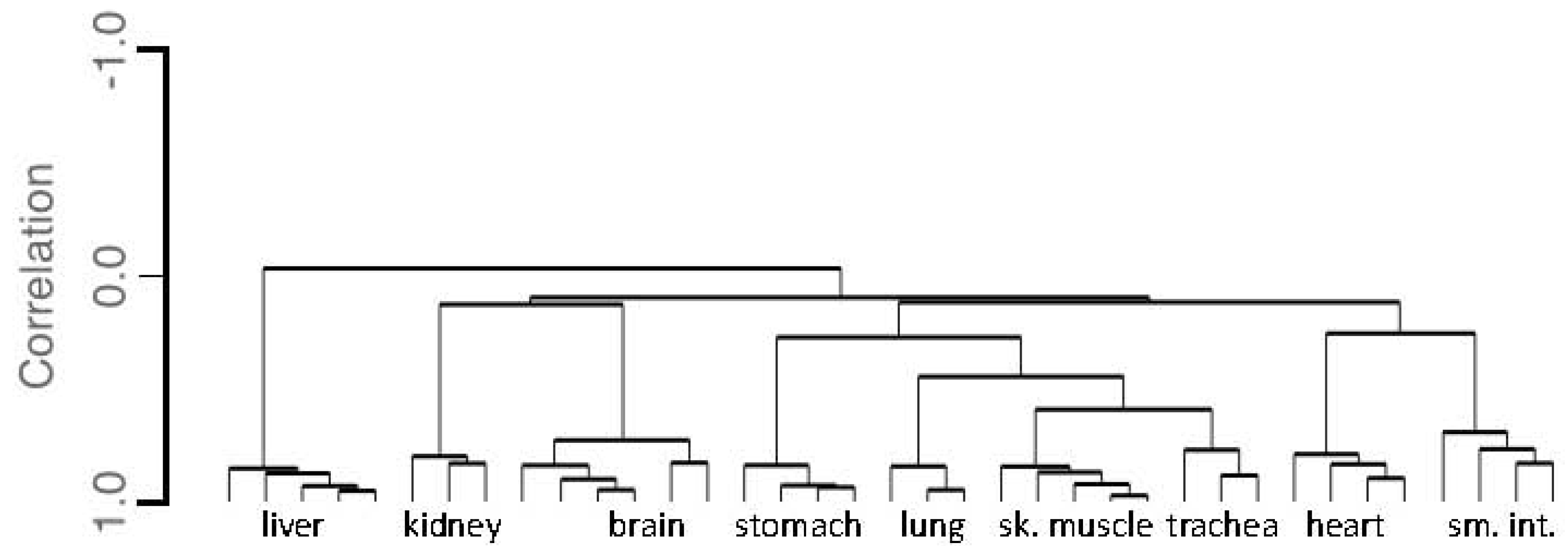Genes 08 00319 g004 Genes 08 00319 g004