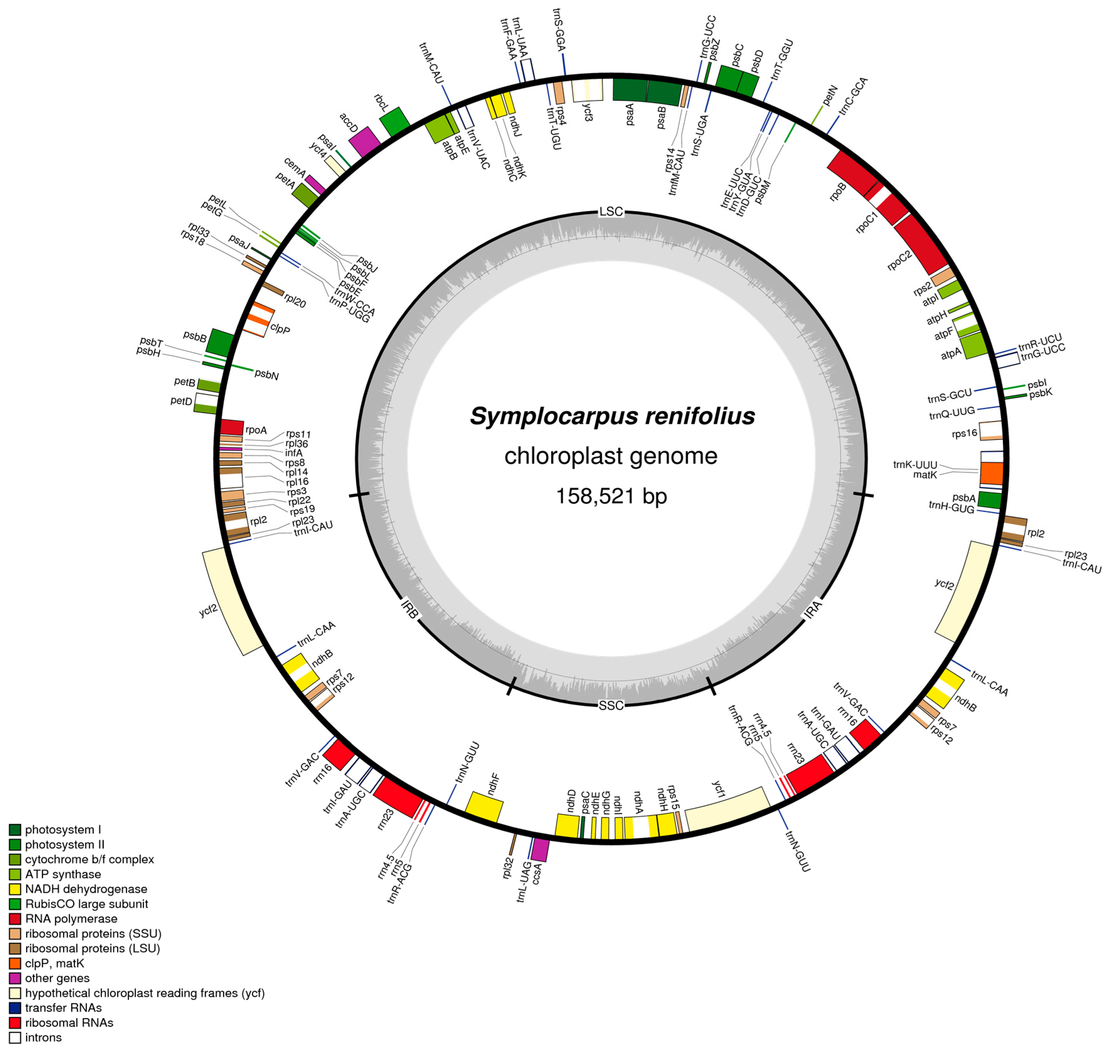 Genes 08 00324 g001 550