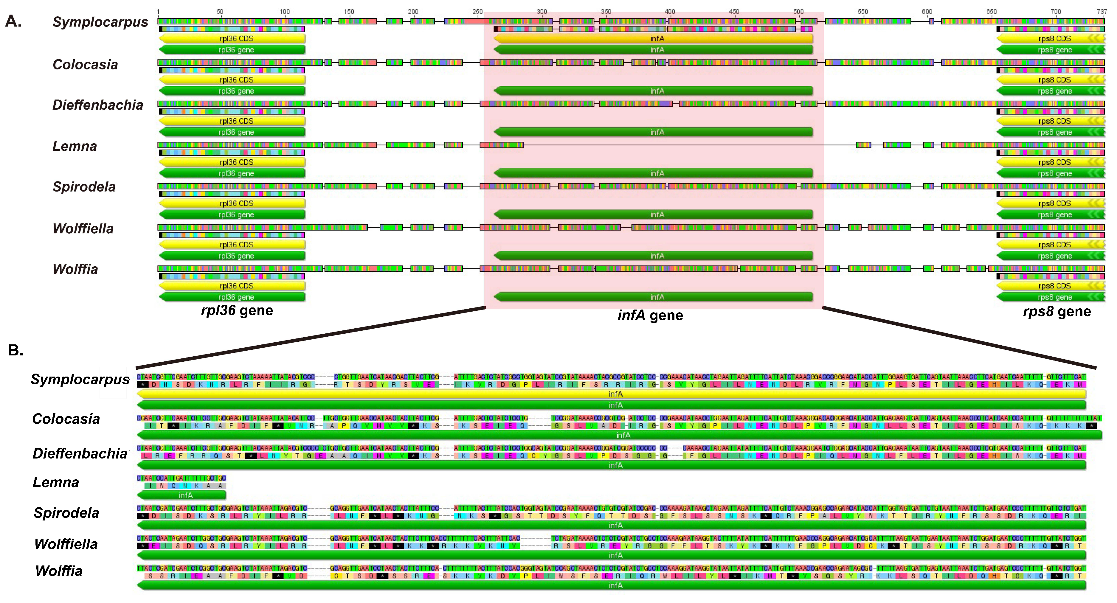 Genes 08 00324 g002 550
