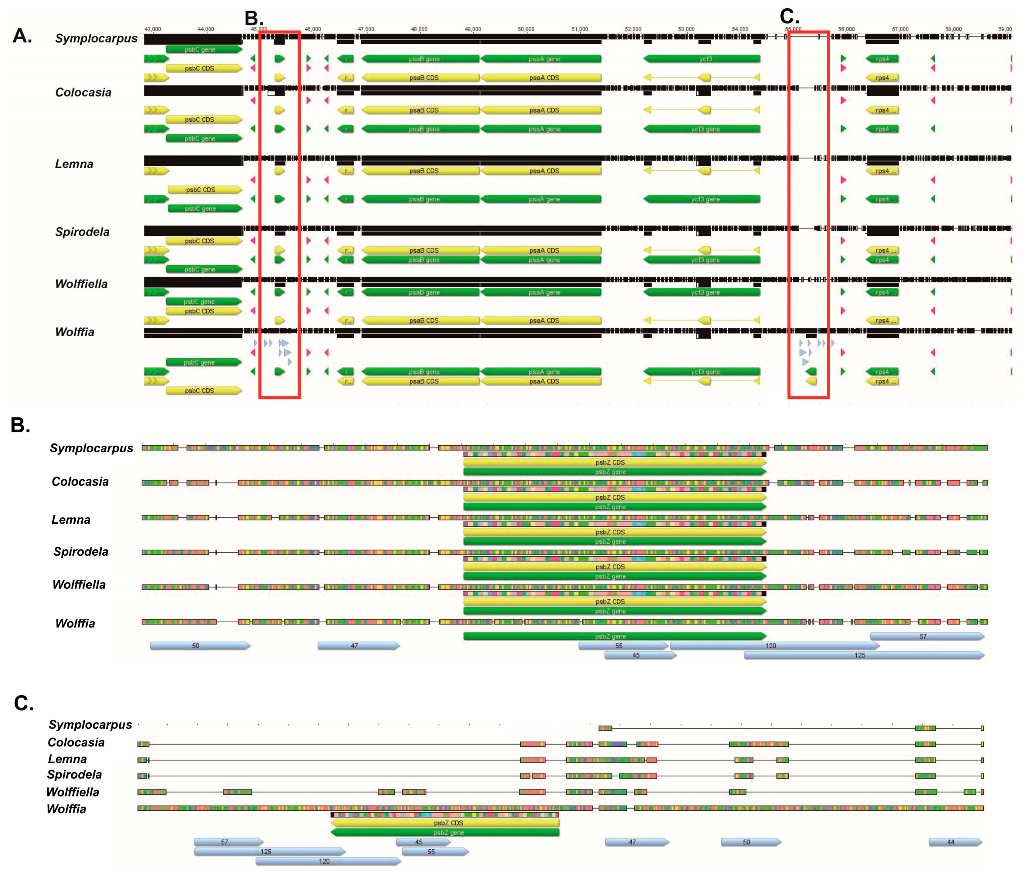 Genes 08 00324 g003 550