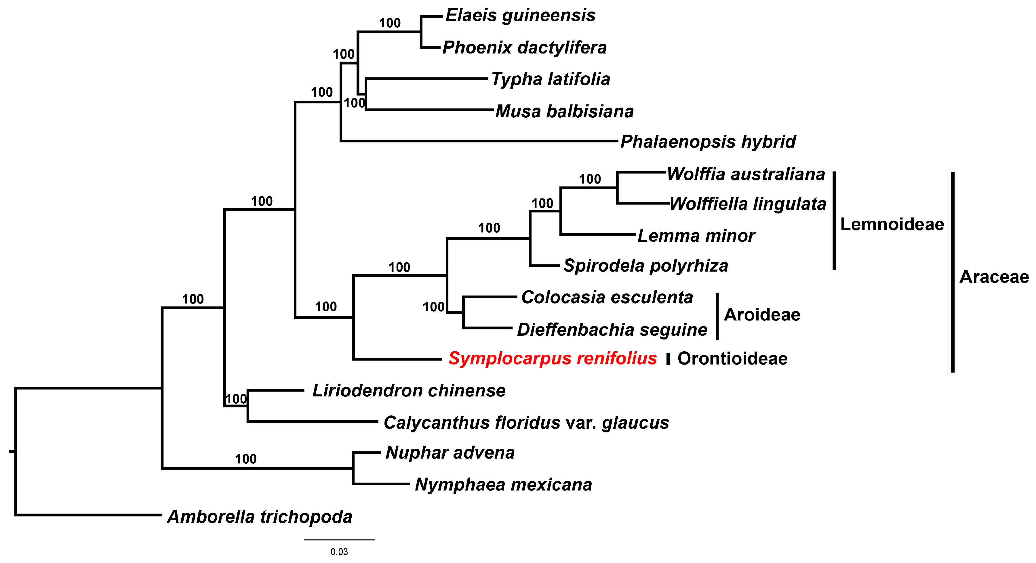 Genes 08 00324 g007 550