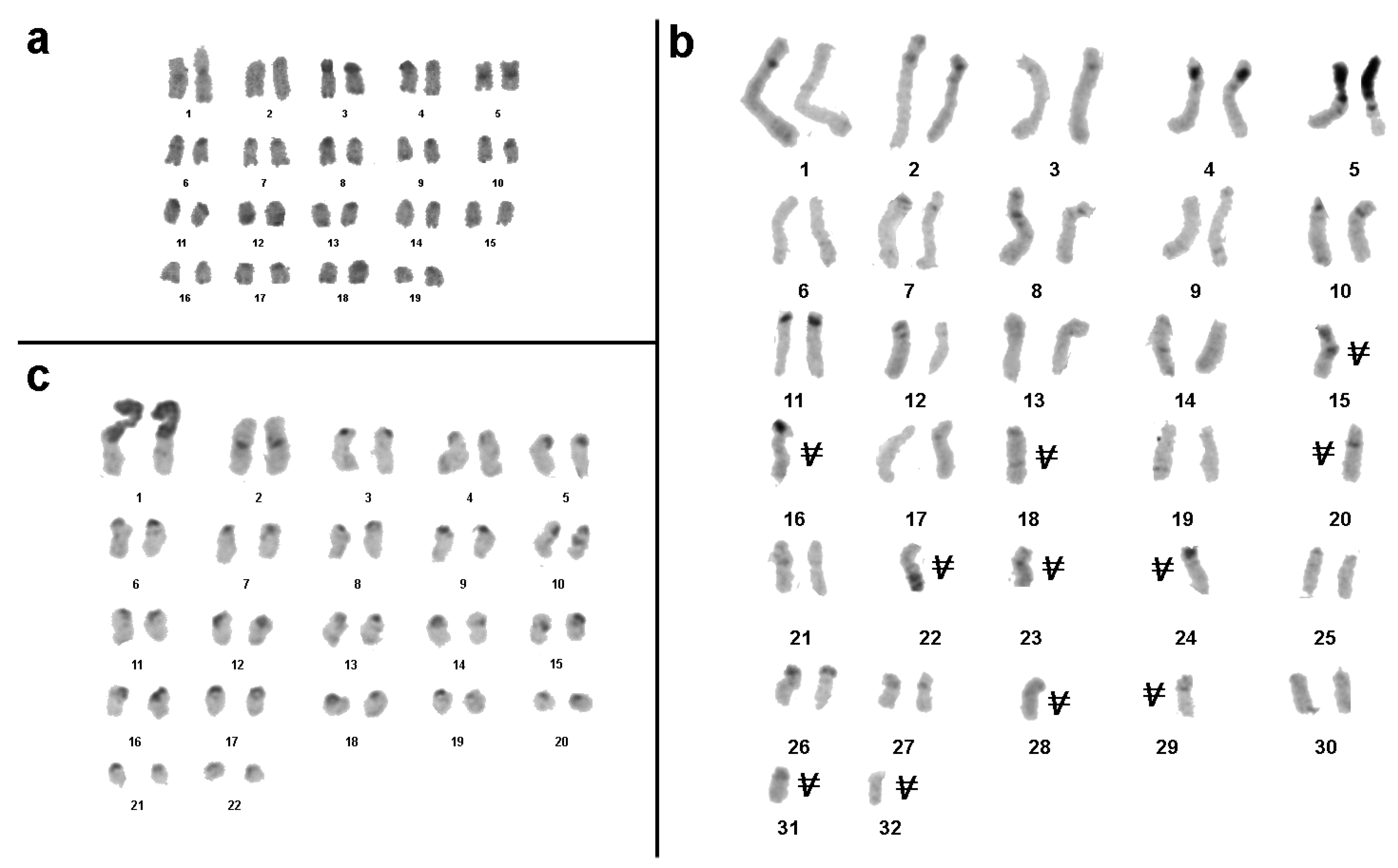 Genes 08 00327 g002 550