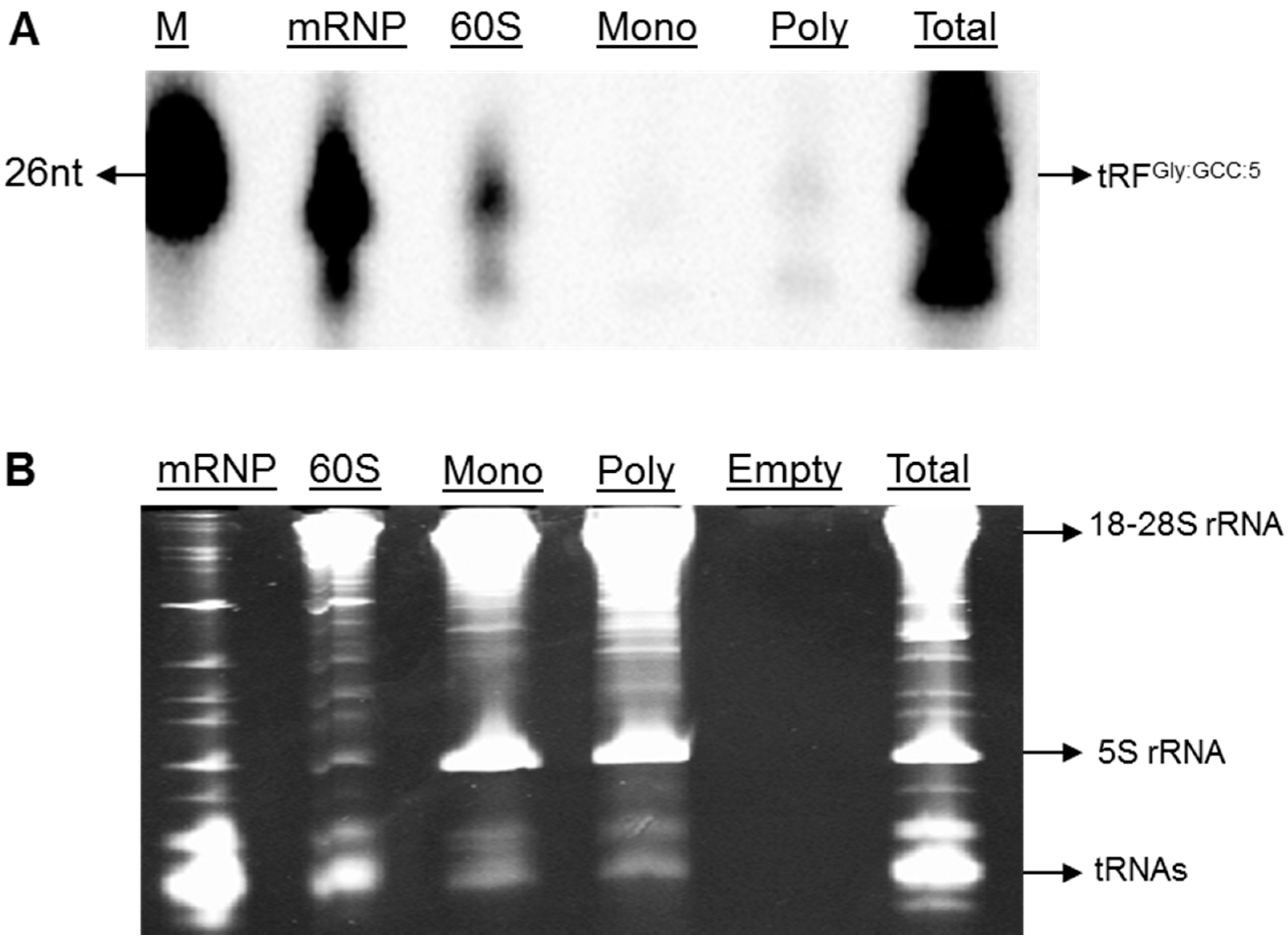 Genes 08 00333 g003 Genes 08 00333 g003
