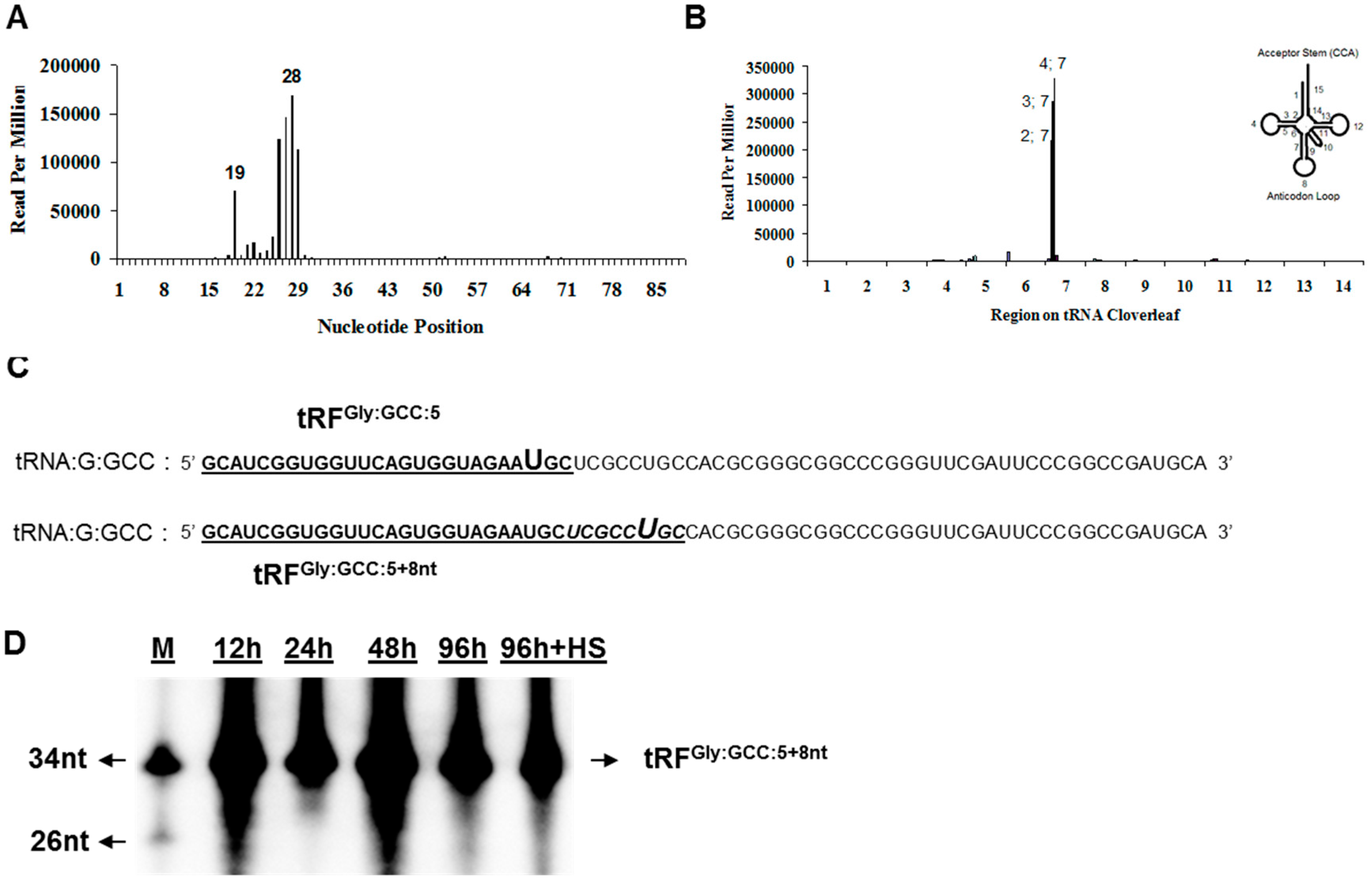 Genes 08 00333 g004 Genes 08 00333 g004