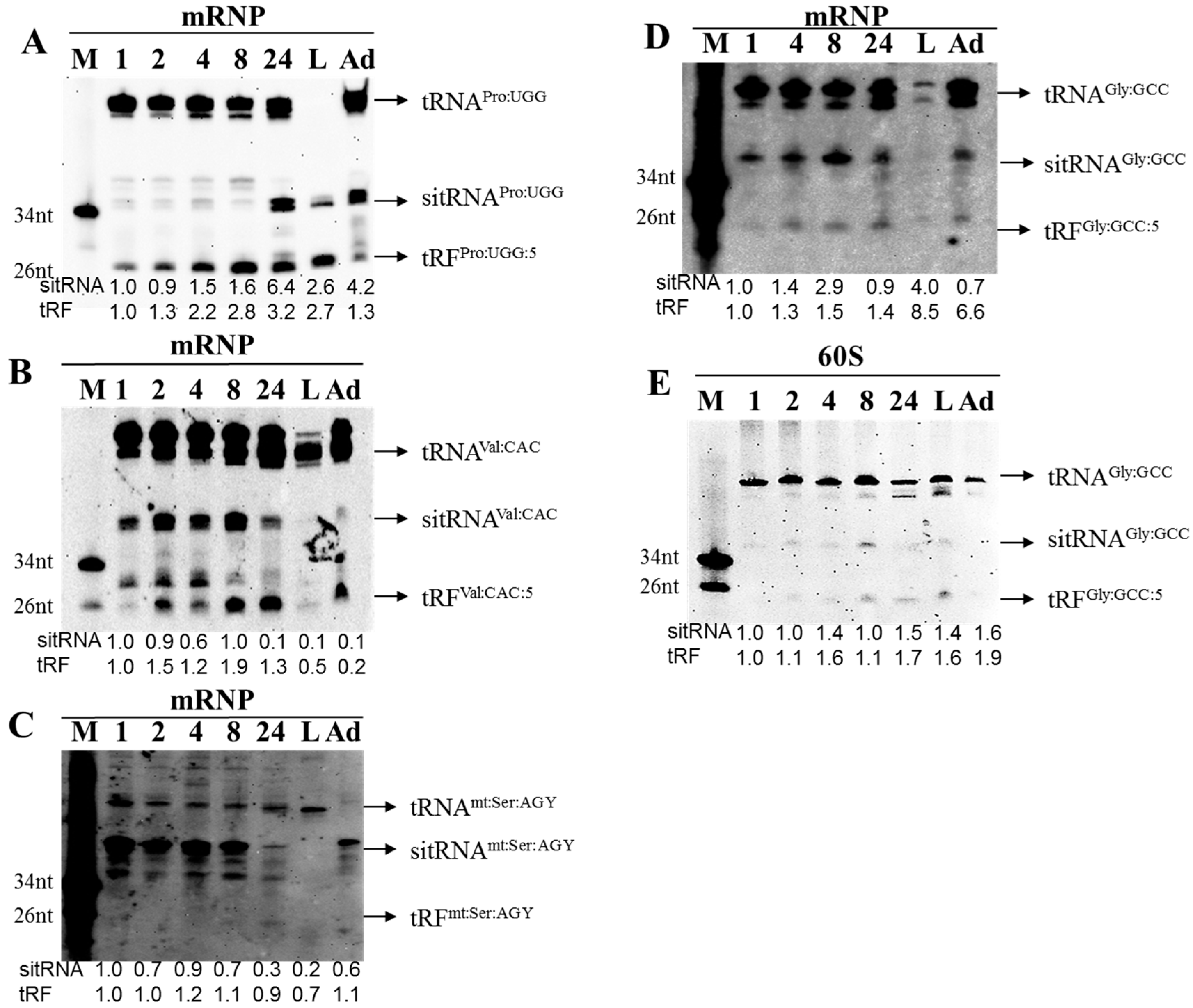 Genes 08 00333 g005 Genes 08 00333 g005