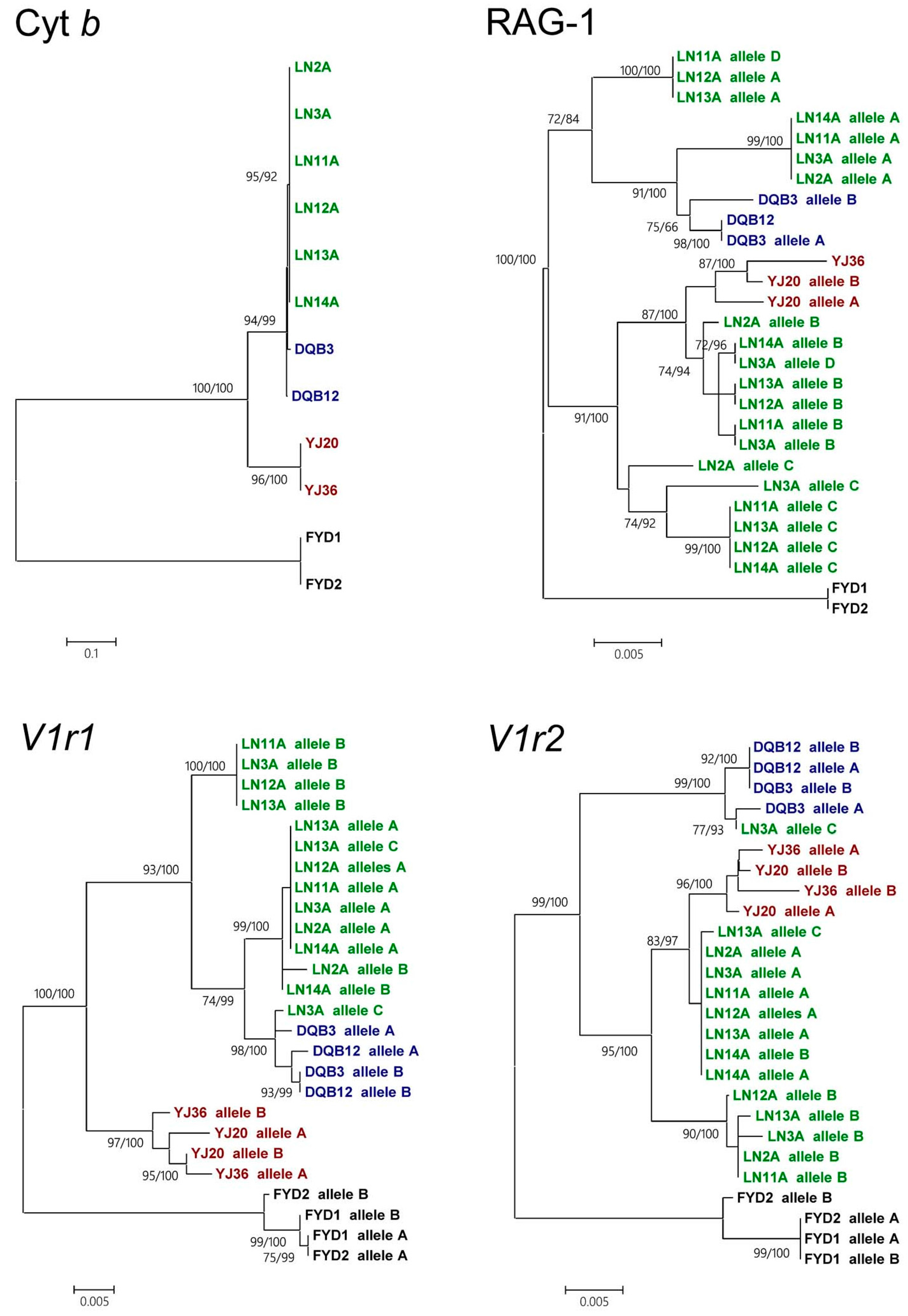 Genes 08 00334 g002