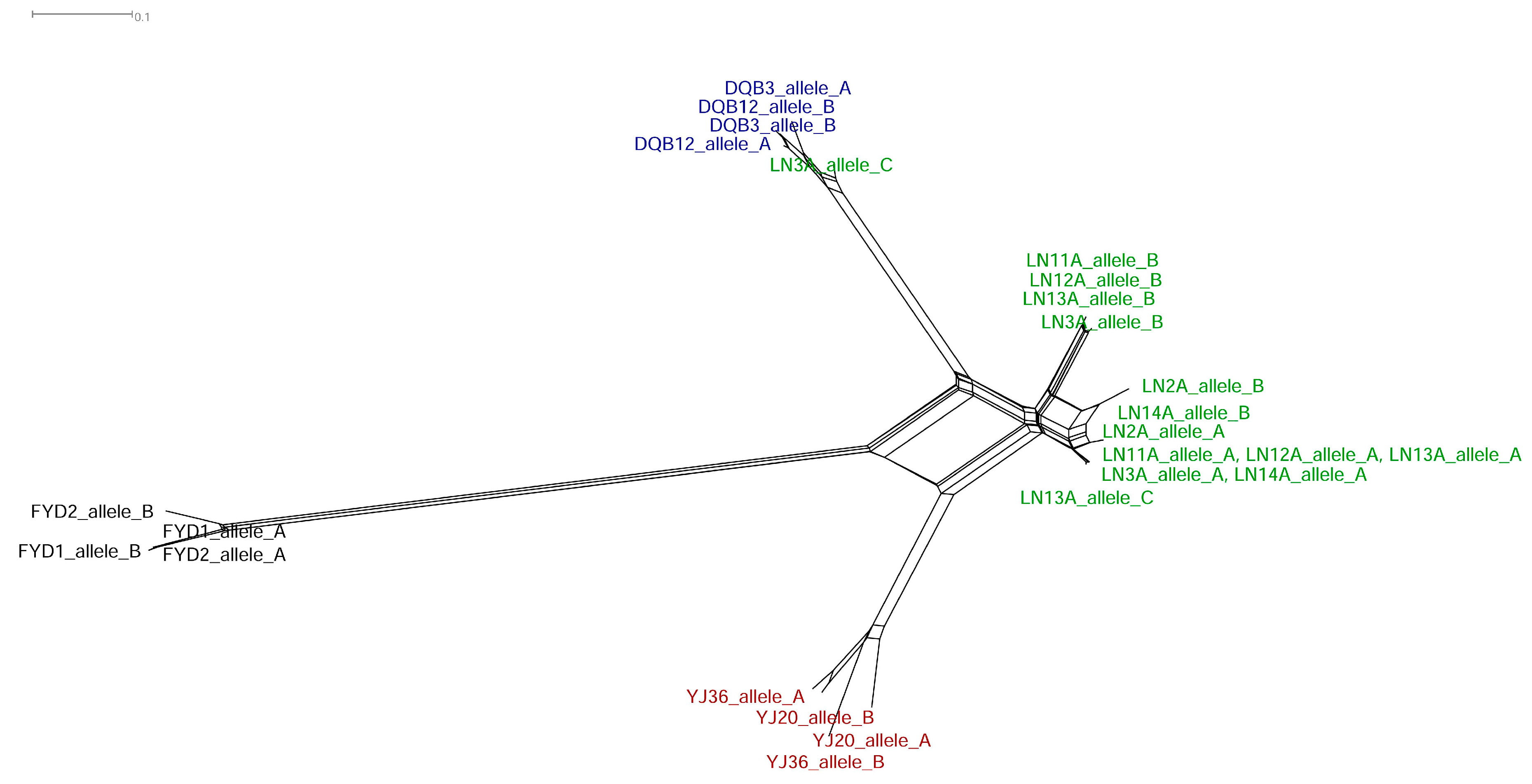 Genes 08 00334 g003