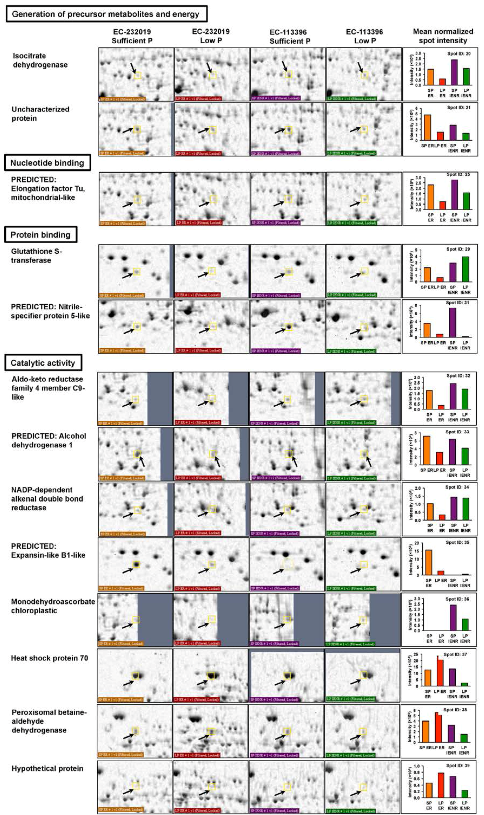 Genes 08 00341 g005b Genes 08 00341 g005b