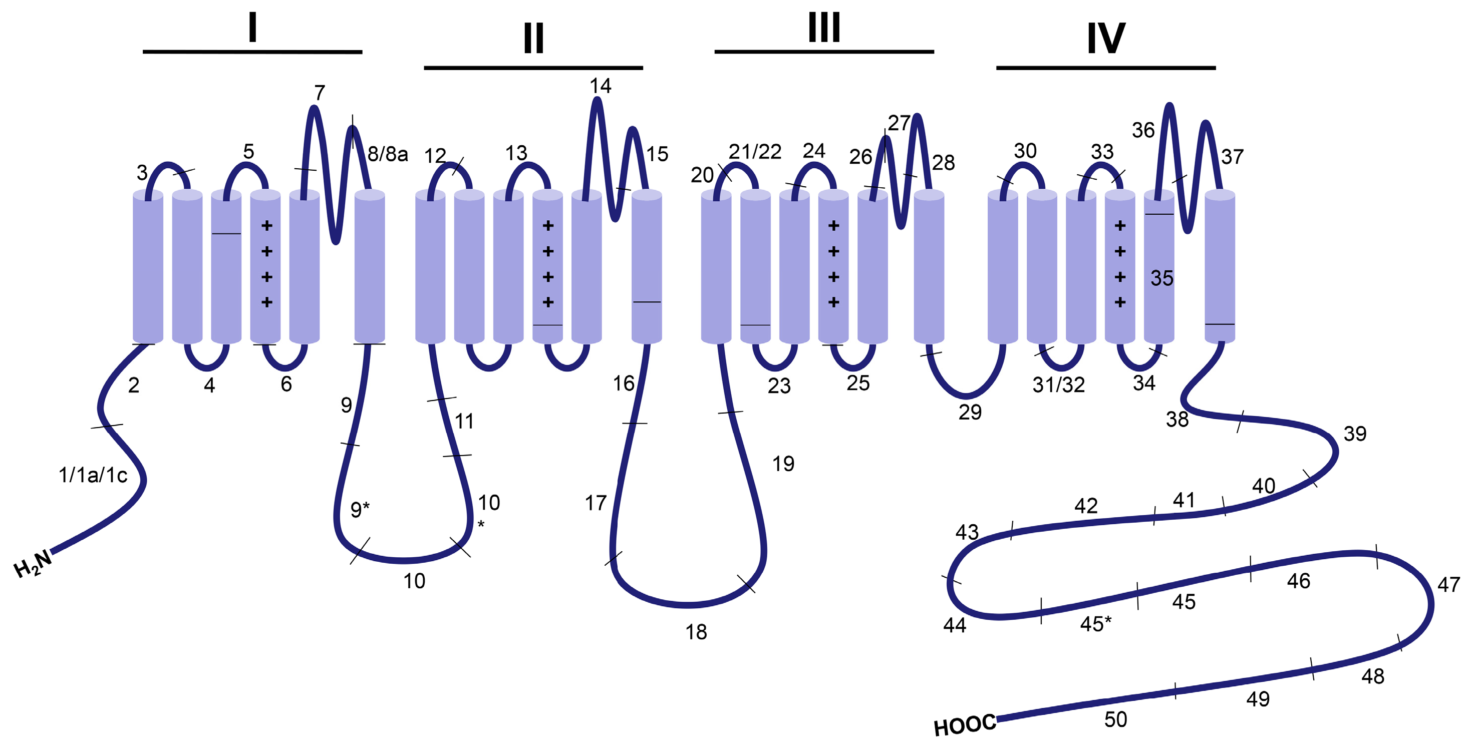 Genes 08 00344 g002