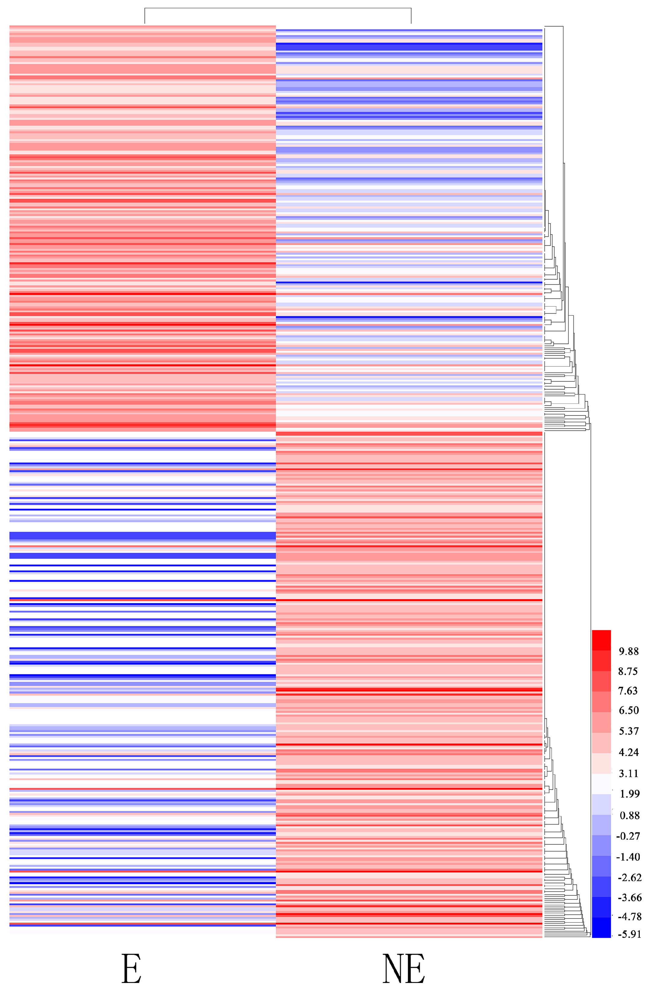 Genes 08 00345 g006 Genes 08 00345 g006