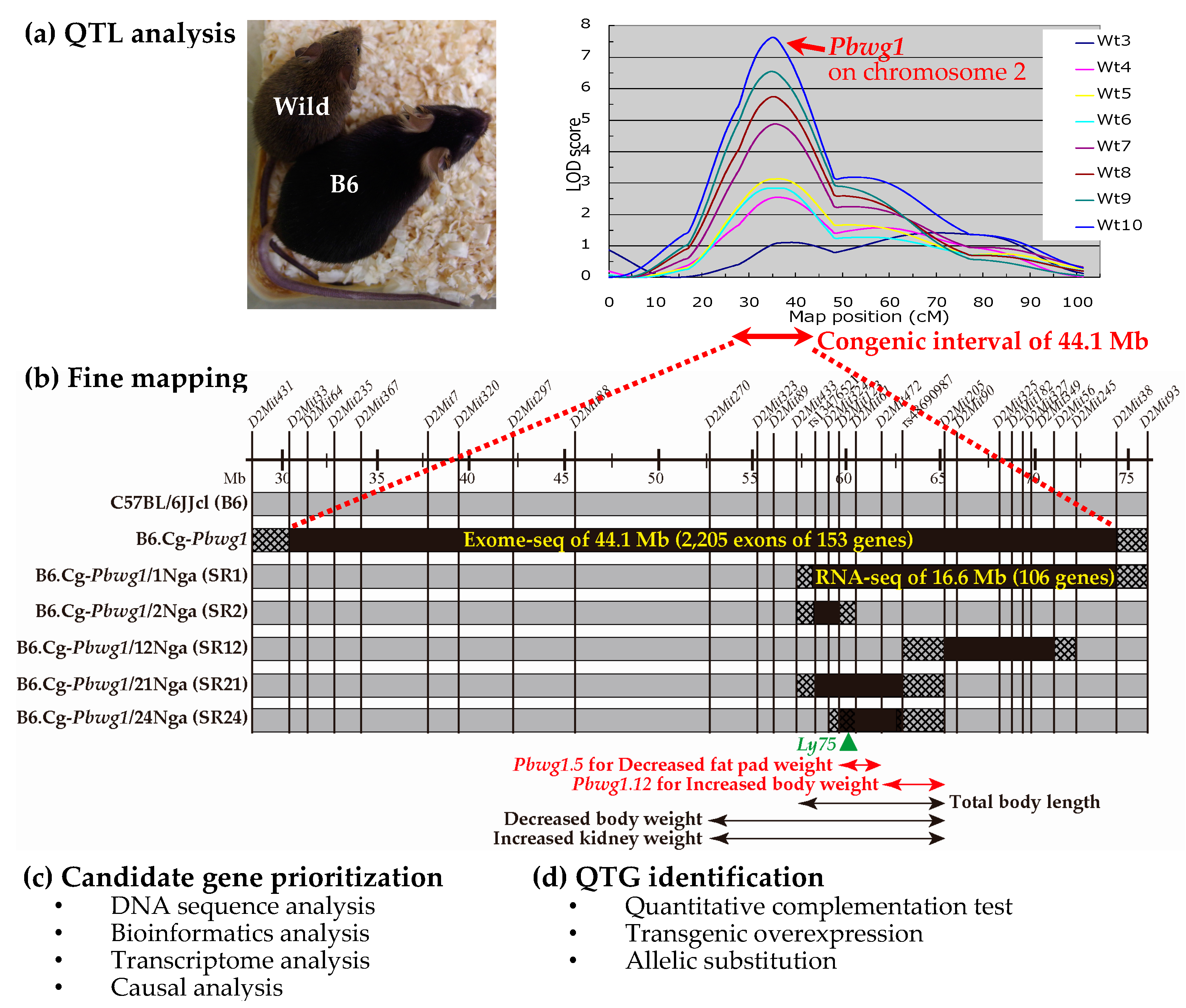 Genes 08 00347 g001 Genes 08 00347 g001