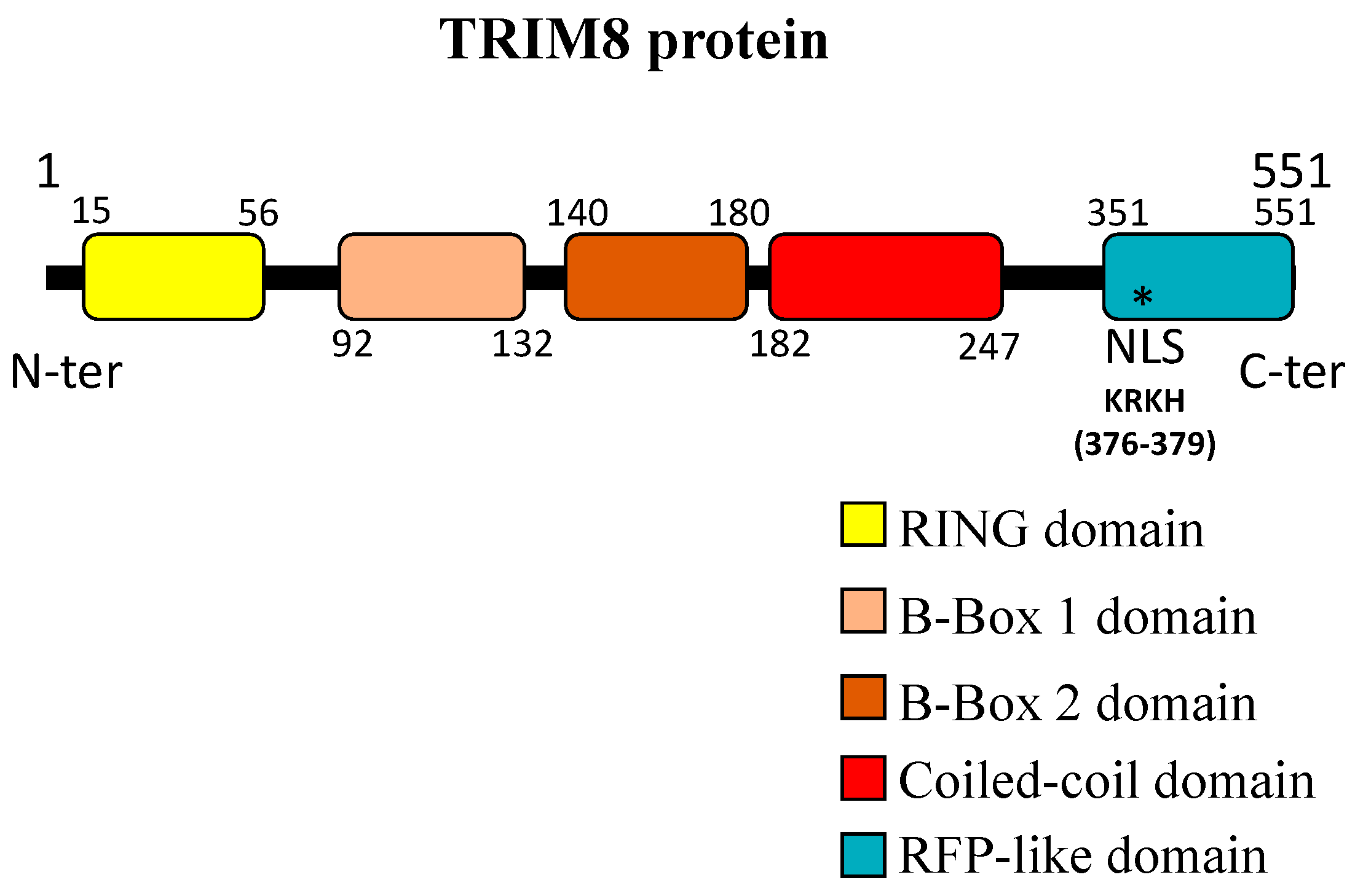 Genes 08 00354 g002