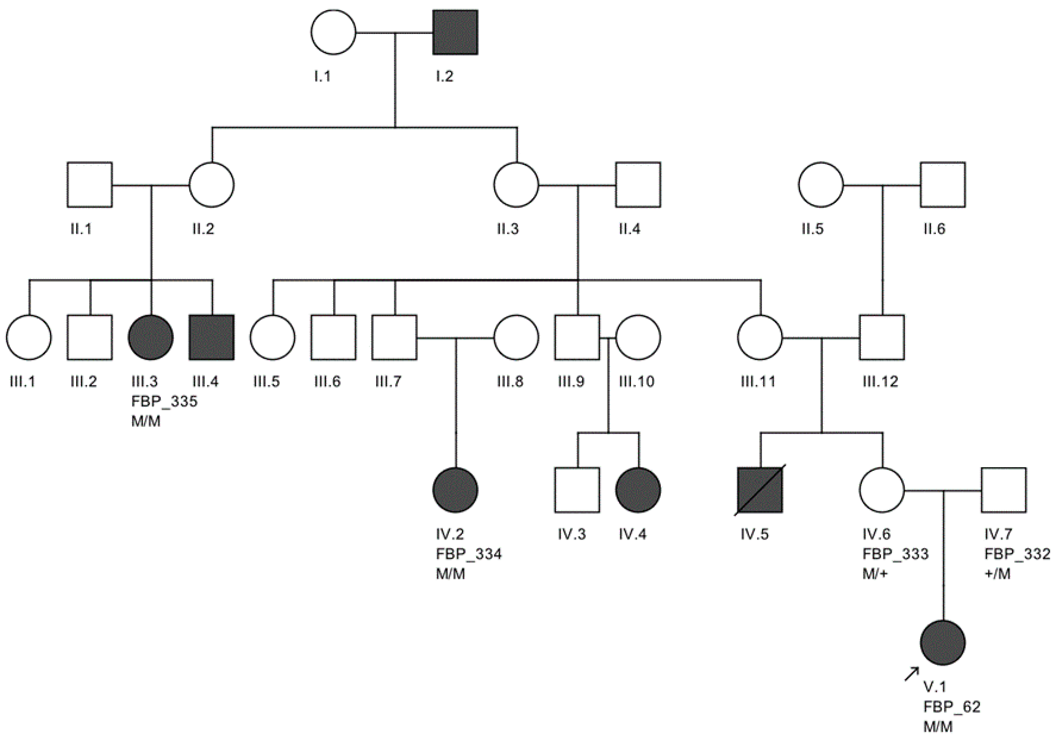 Genes 08 00355 g002