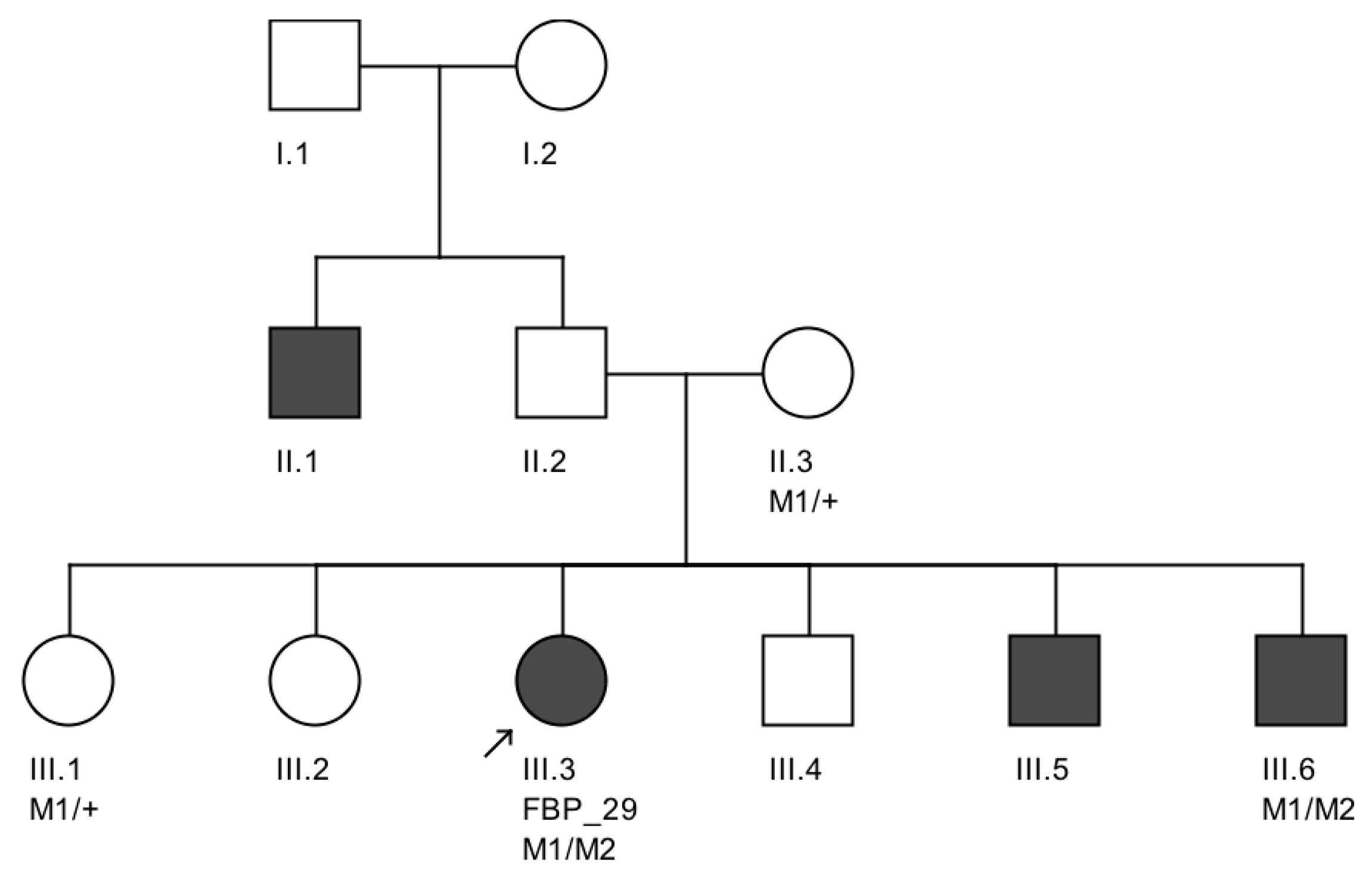 Genes 08 00355 g004