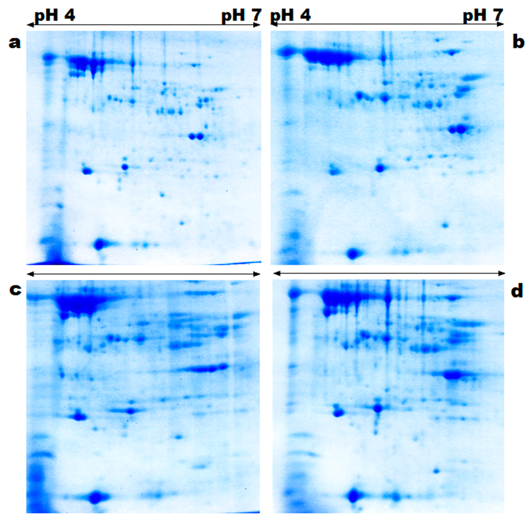 Genes 08 00356 g002 Genes 08 00356 g002