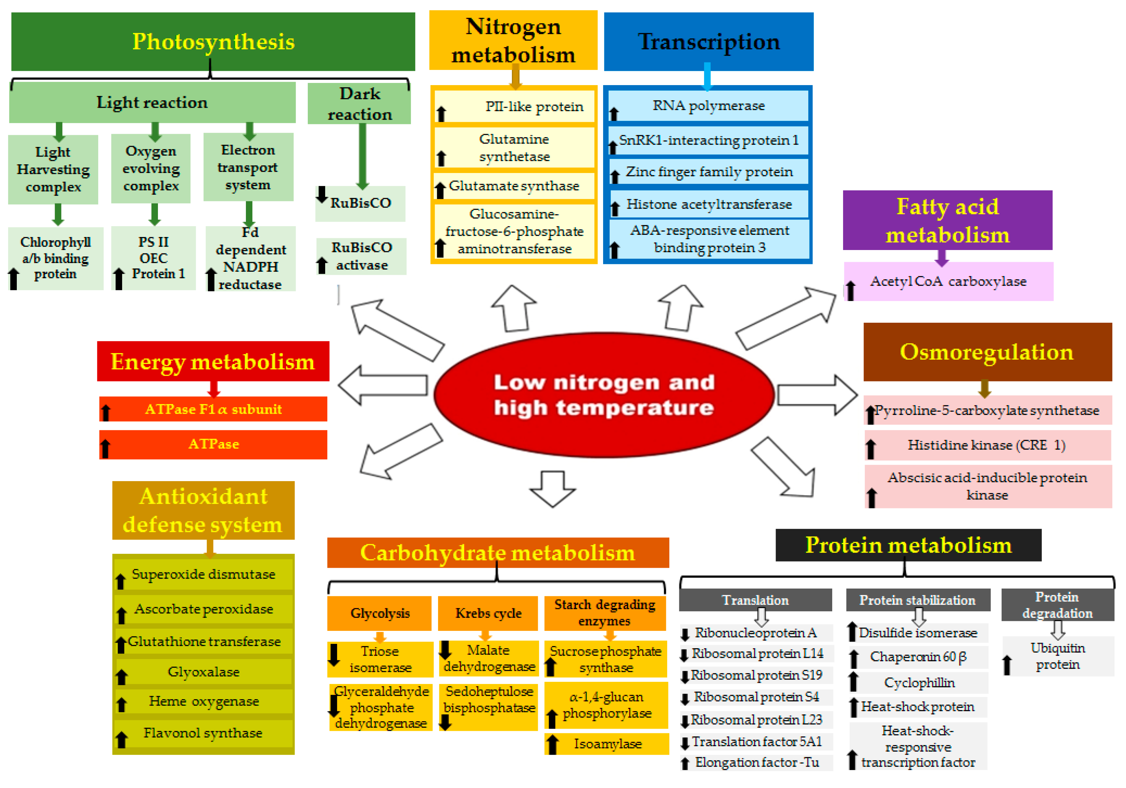 Genes 08 00356 g006 Genes 08 00356 g006