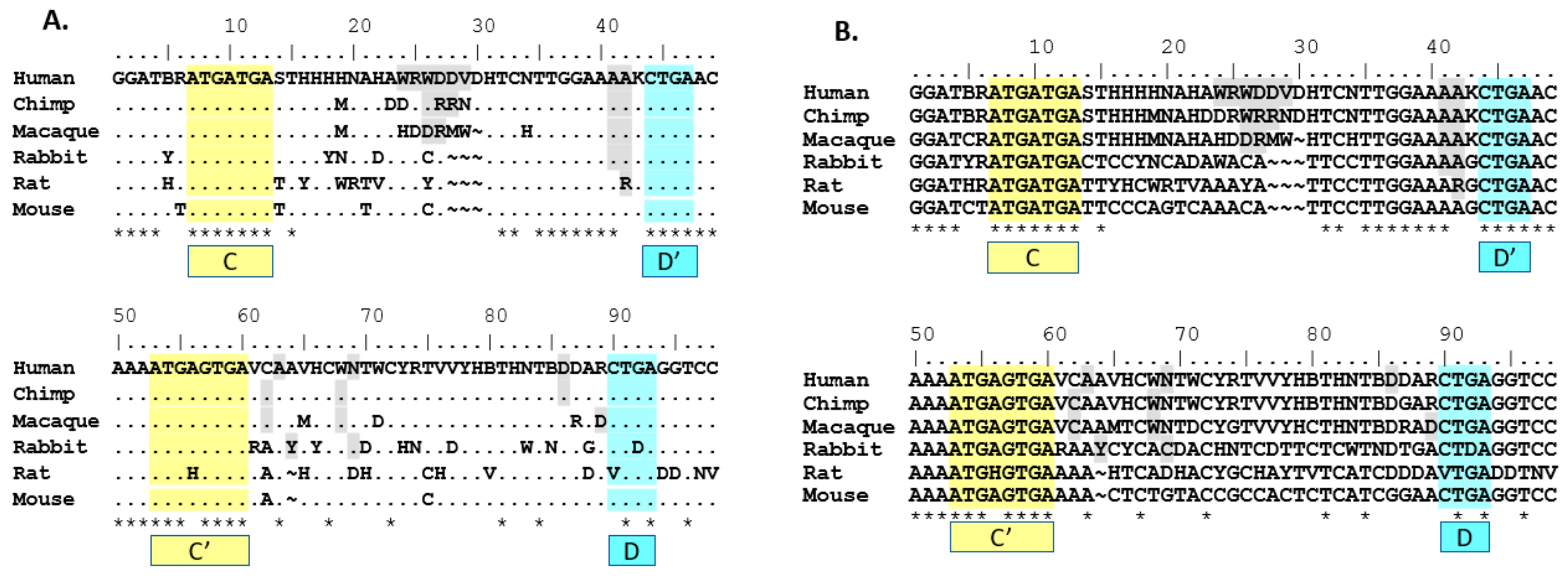 Genes 08 00358 g001