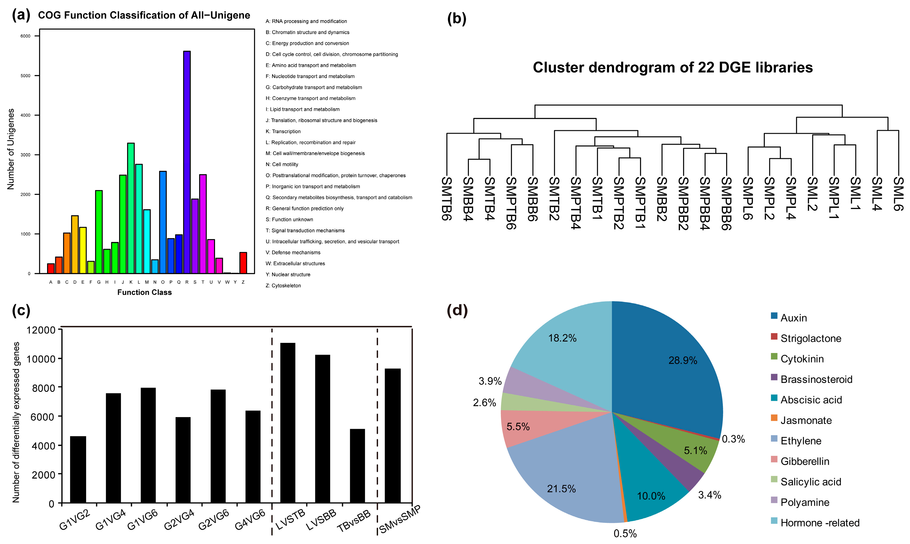 Genes 08 00359 g003 Genes 08 00359 g003