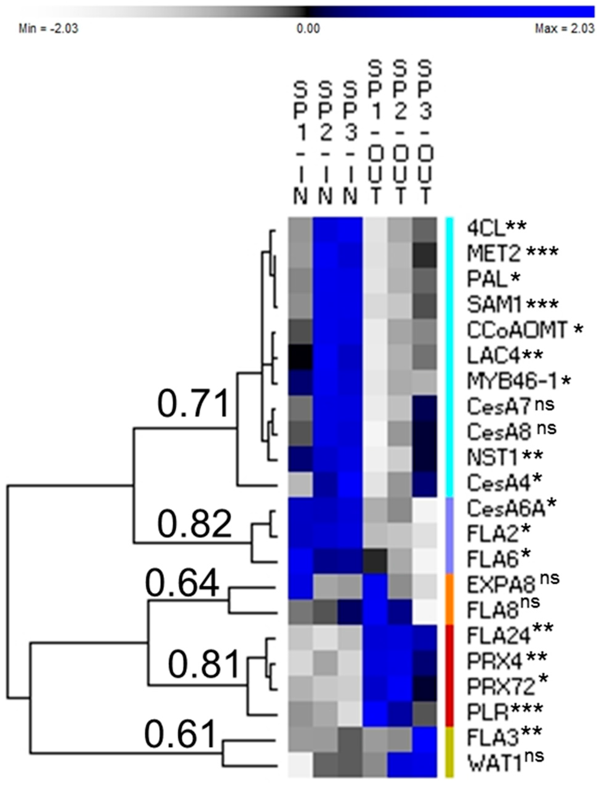 Genes 08 00363 g002