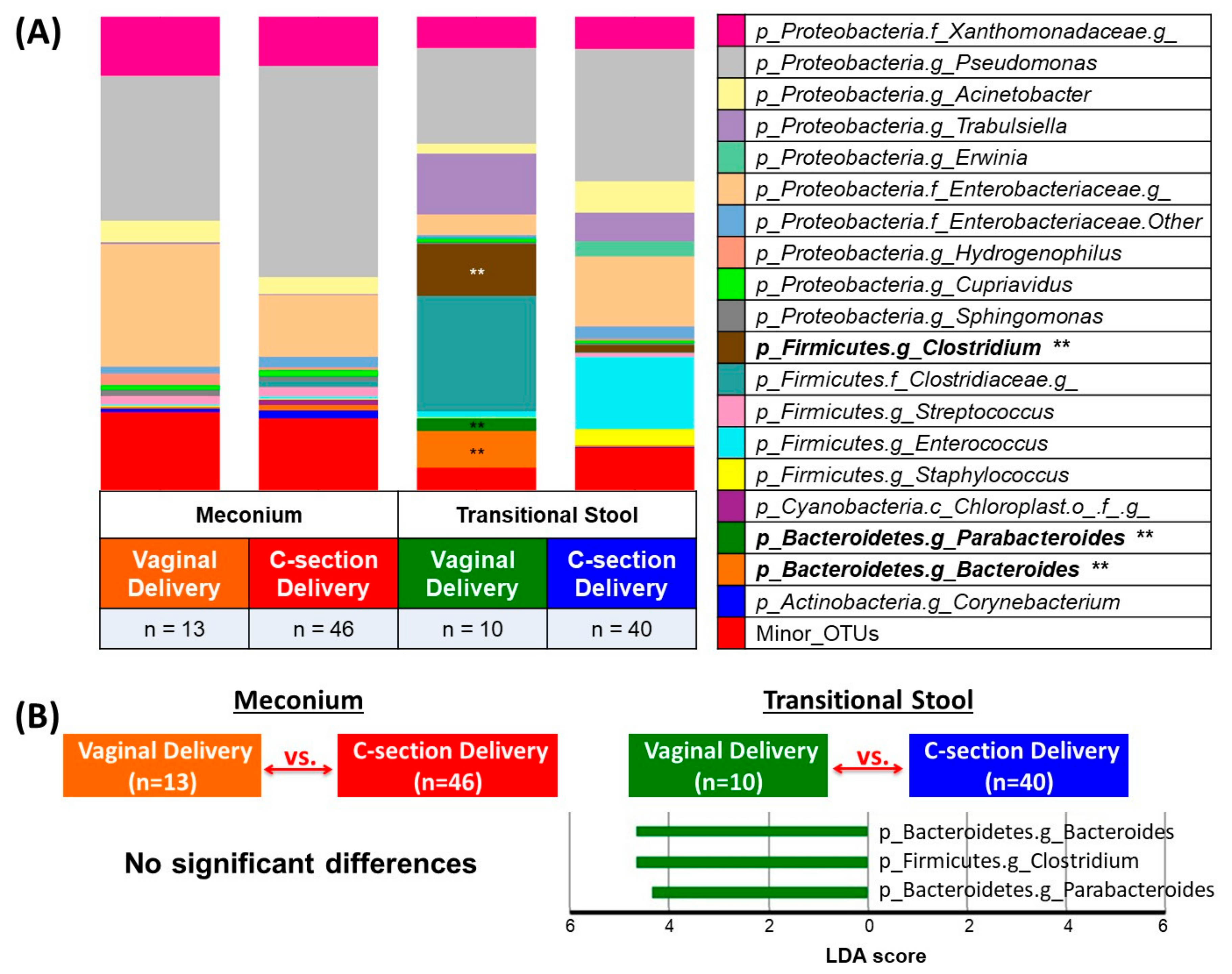 Genes 08 00364 g003