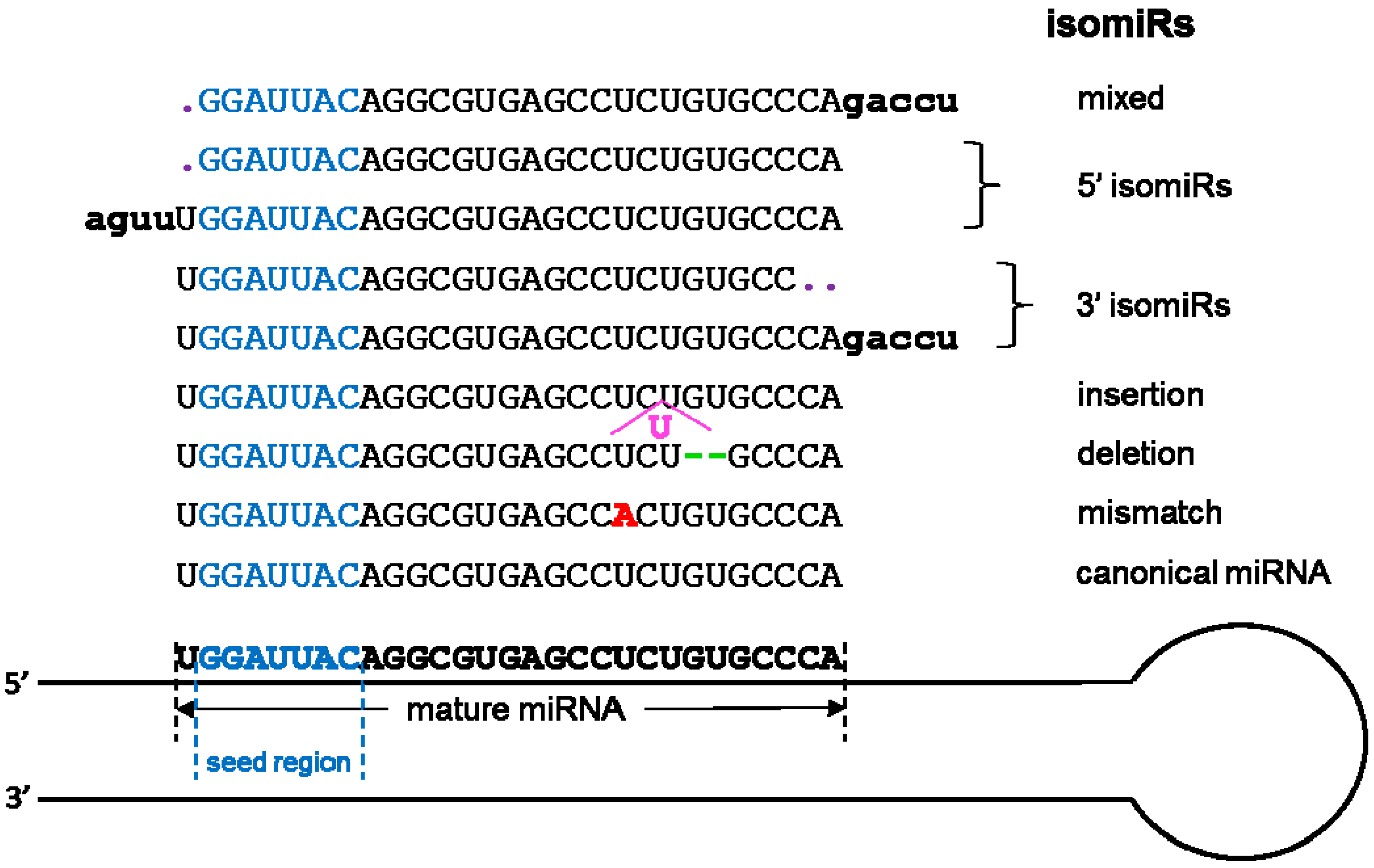 Genes 08 00366 g004 Genes 08 00366 g004