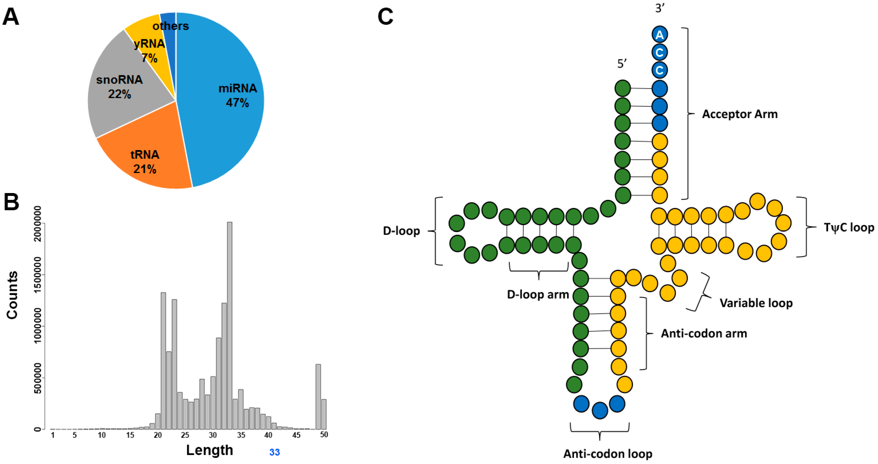 Genes 08 00366 g005 Genes 08 00366 g005