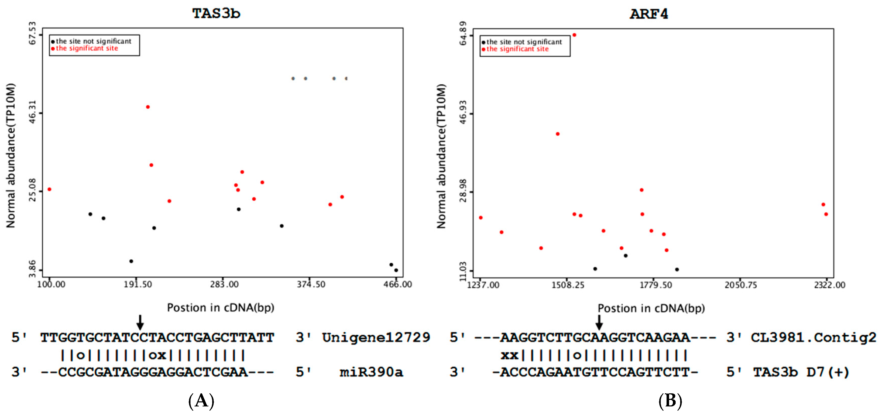 Genes 08 00369 g008 Genes 08 00369 g008
