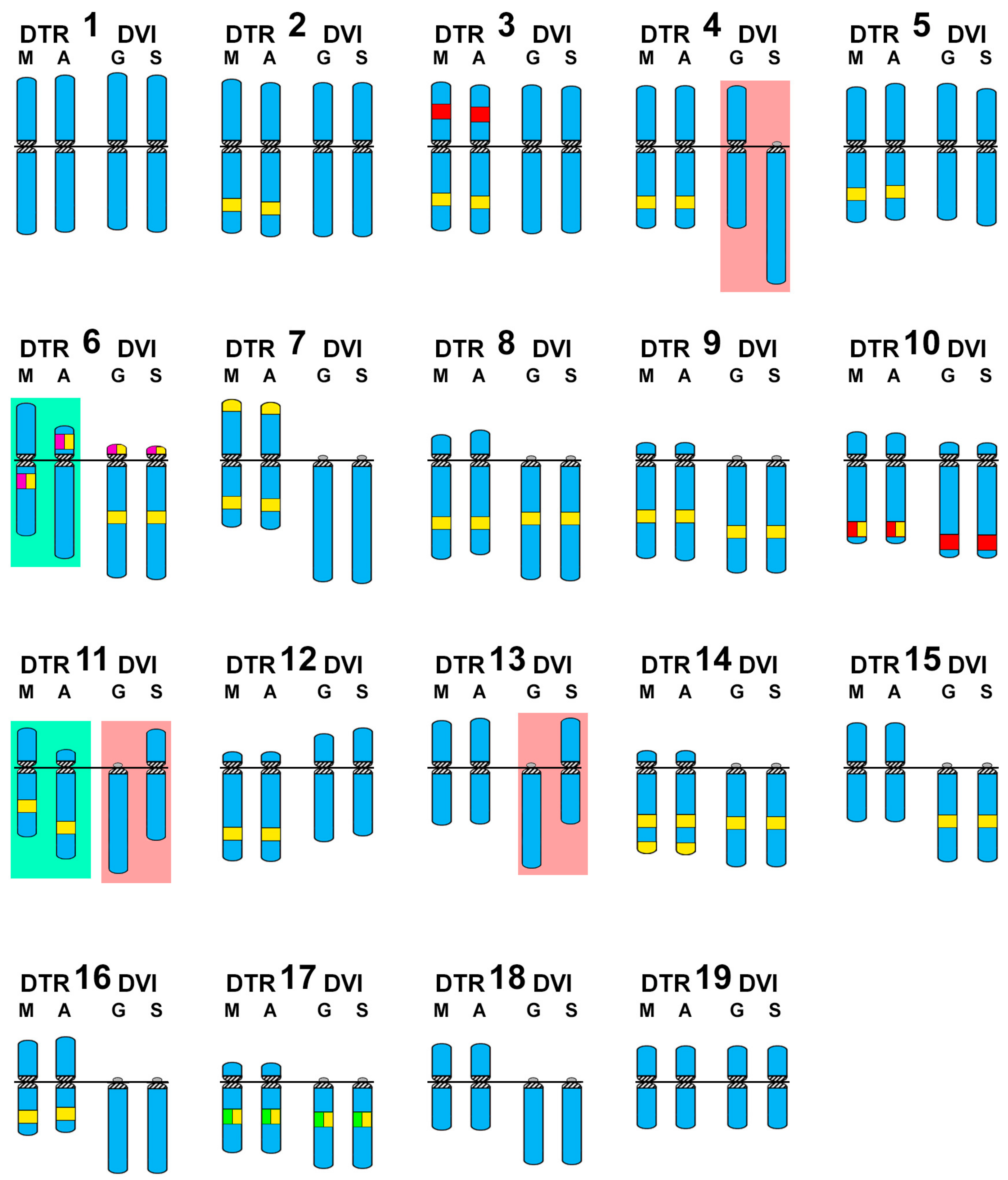 Genes 08 00370 g004
