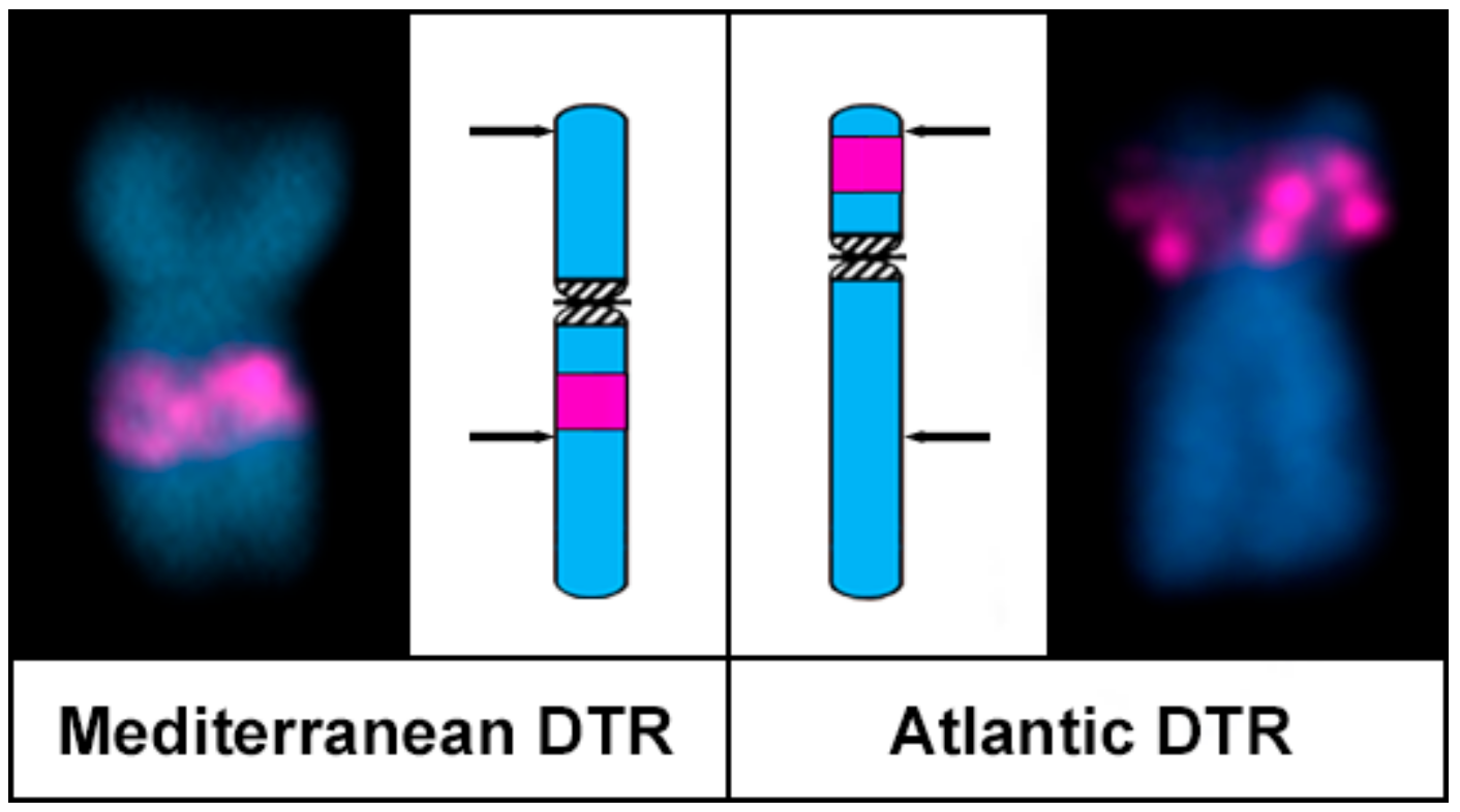 Genes 08 00370 g005