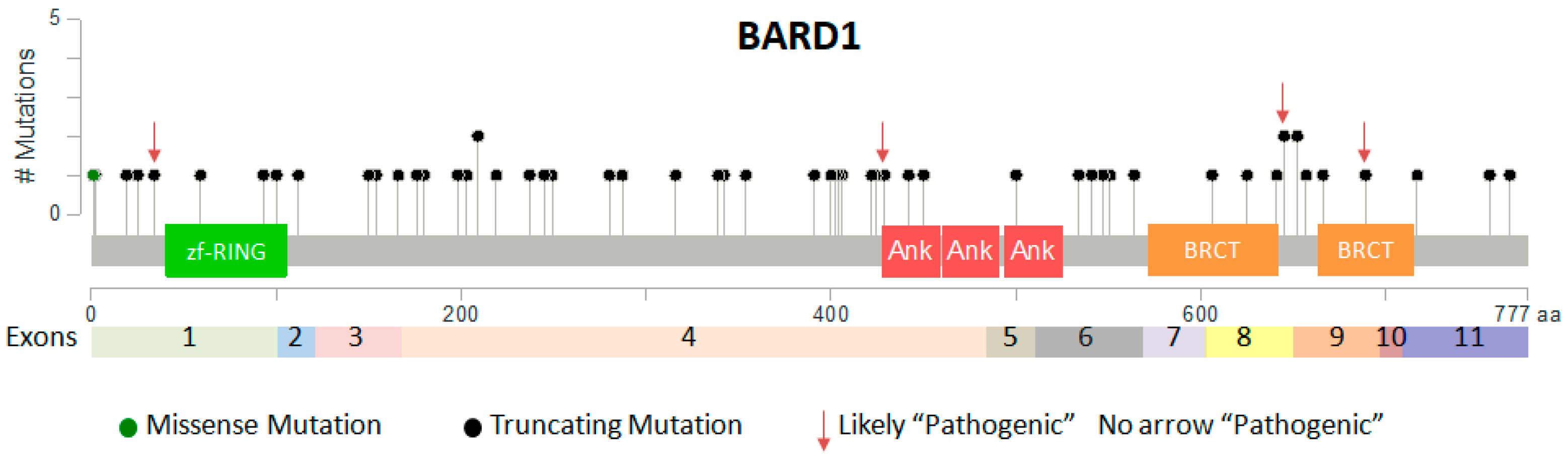 Genes 08 00375 g002