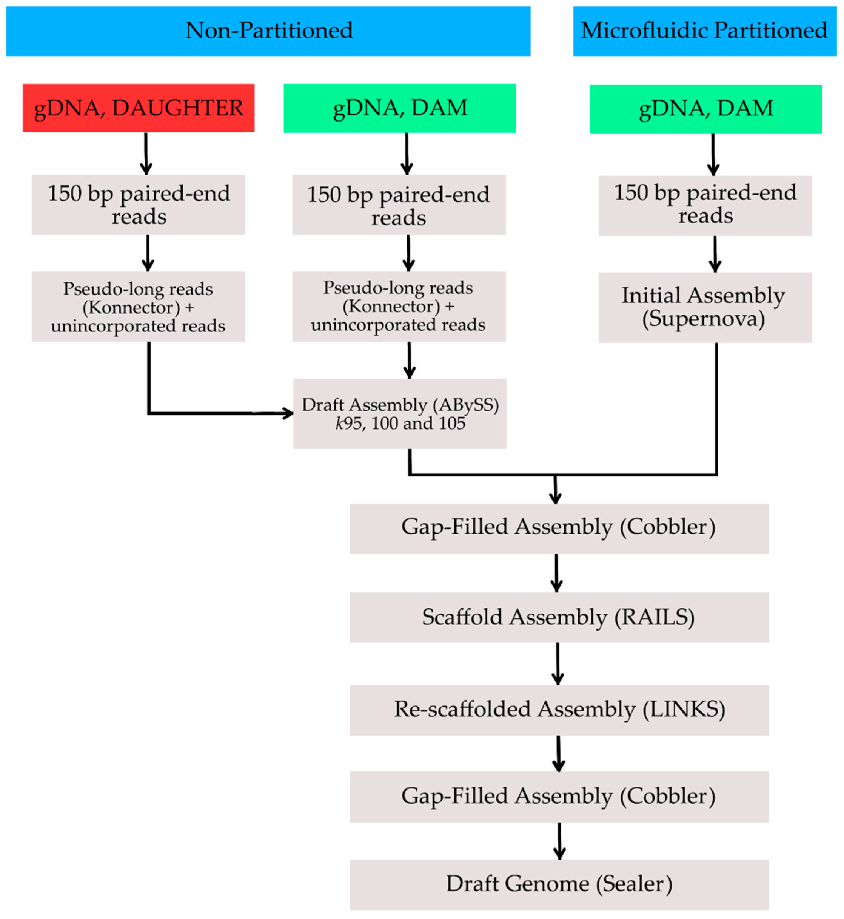Genes 08 00378 g001