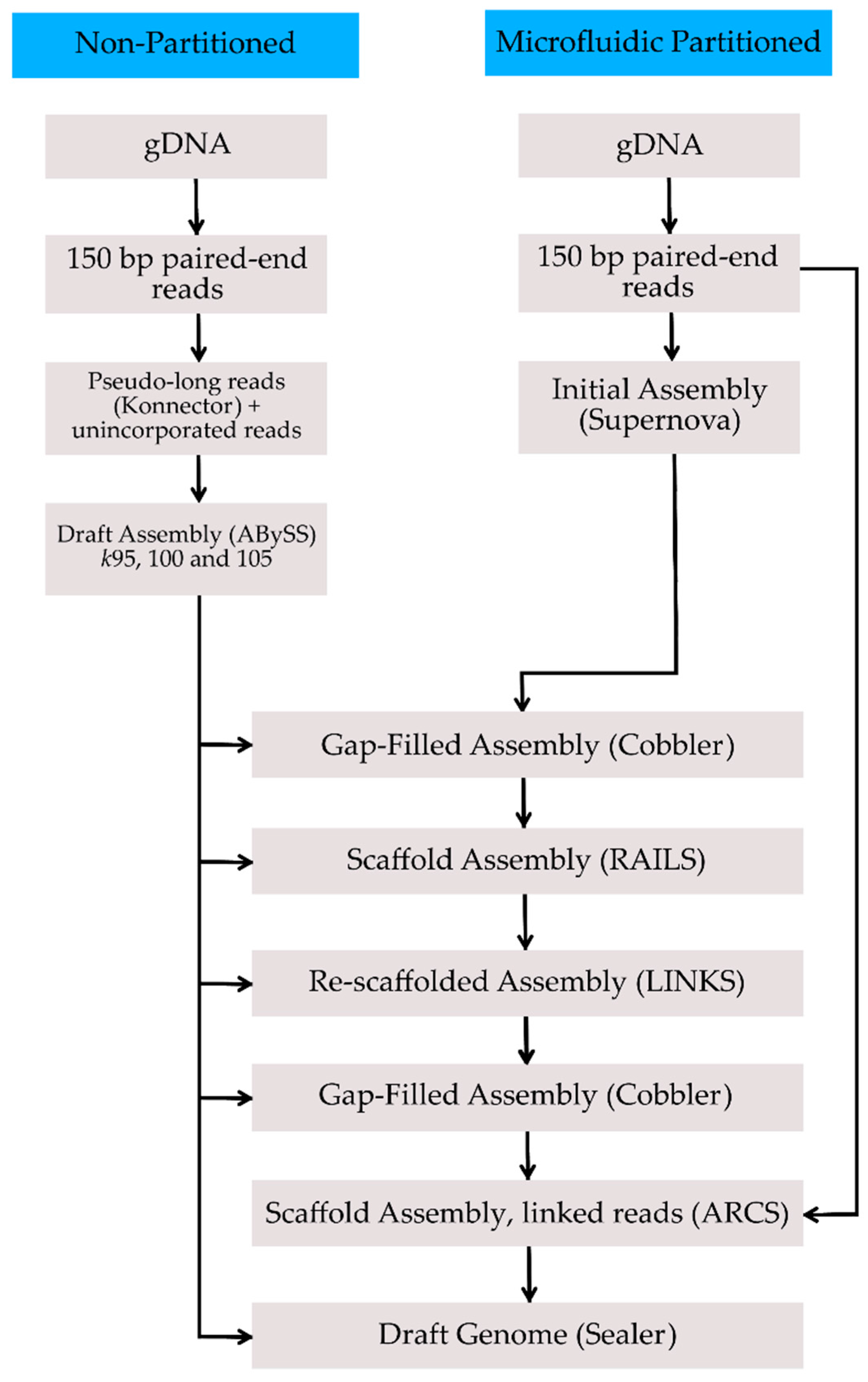 Genes 08 00379 g001