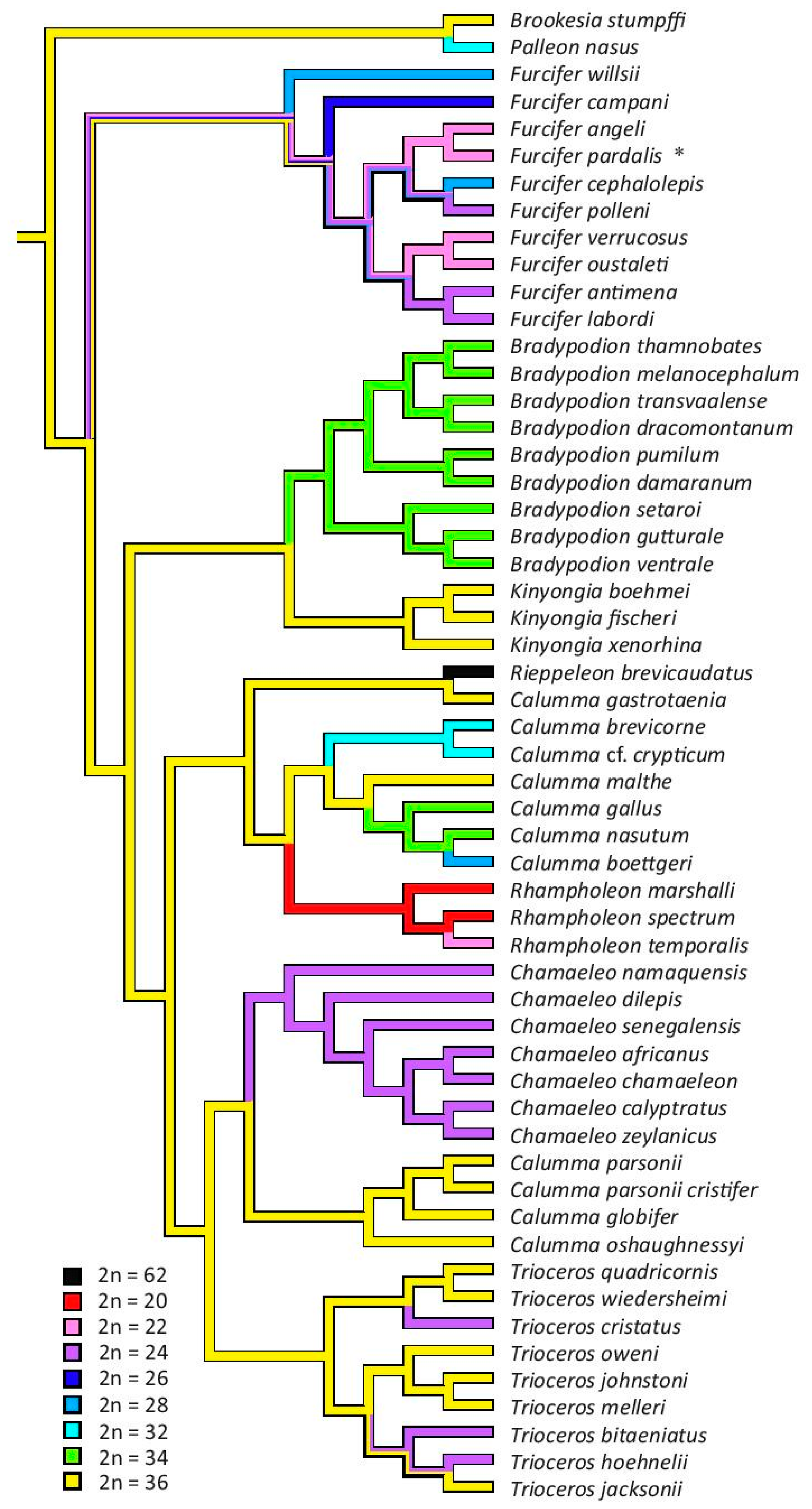 Genes 08 00382 g005