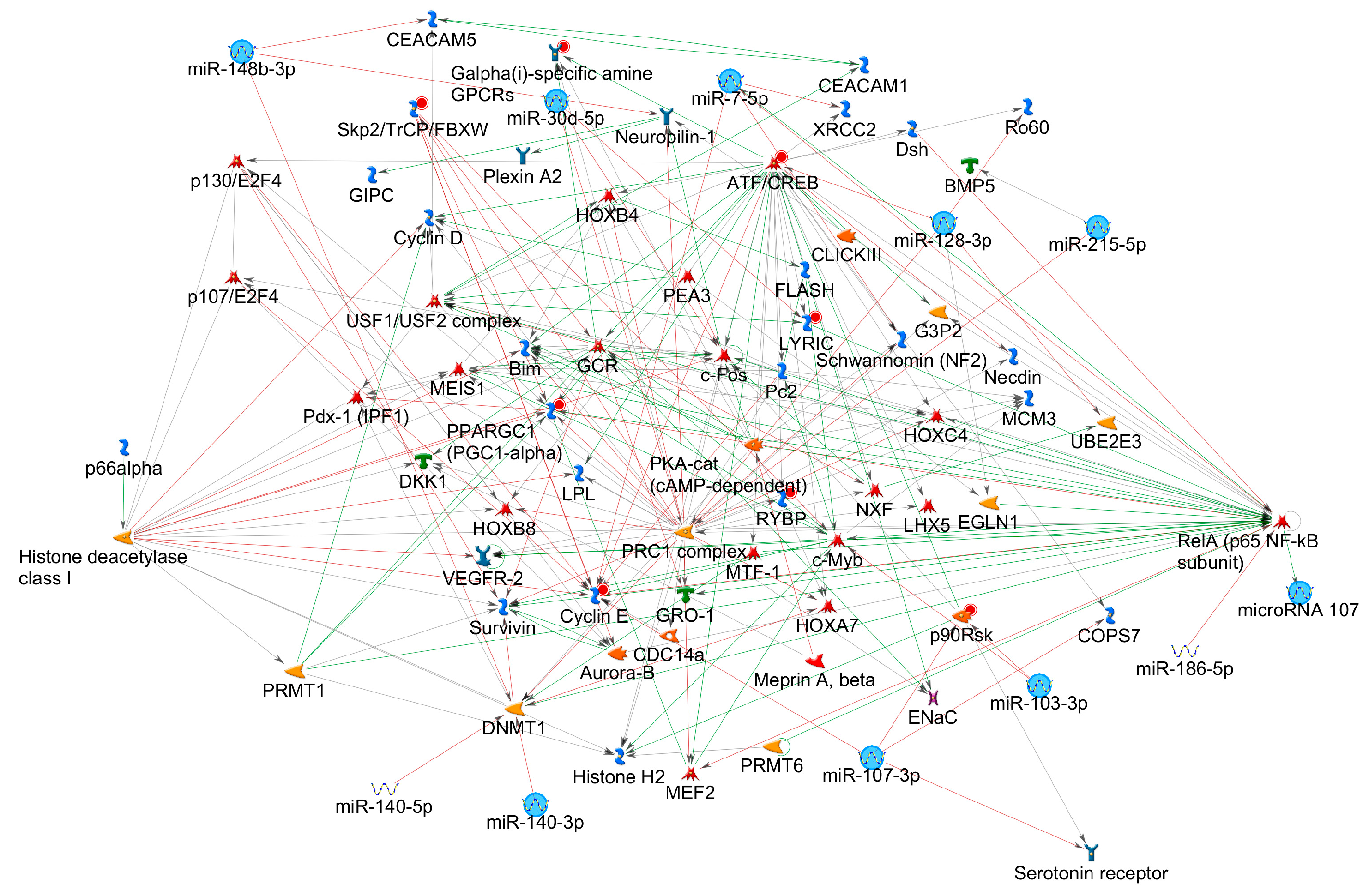 Genes 08 00383 g004 Genes 08 00383 g004