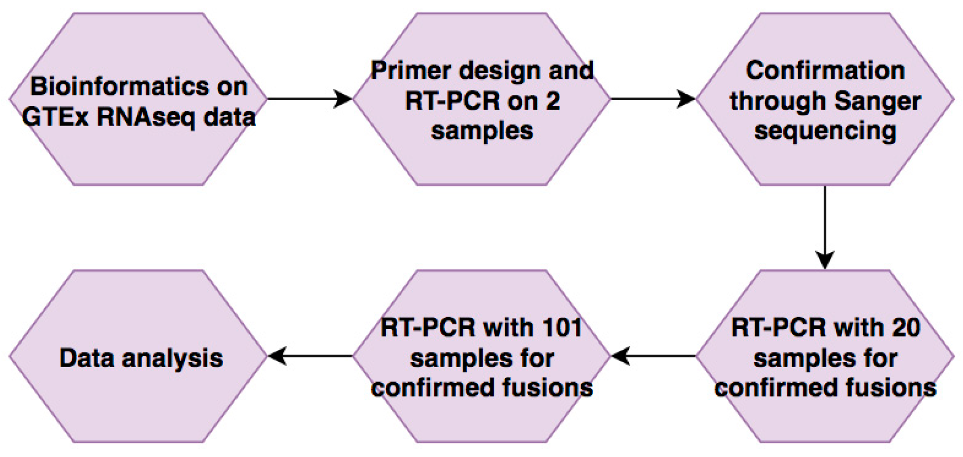 Genes 08 00386 g001 550