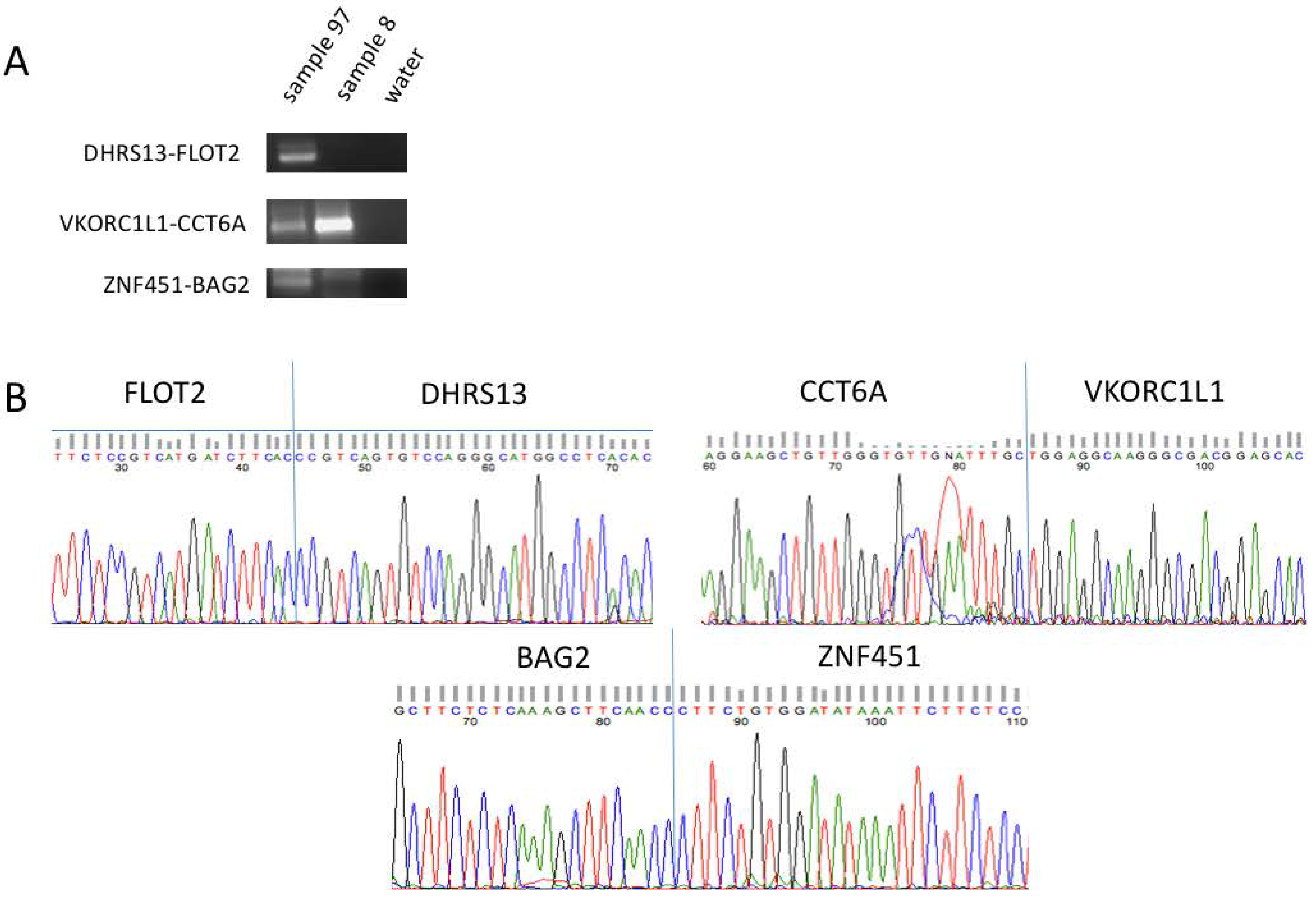 Genes 08 00386 g002 550