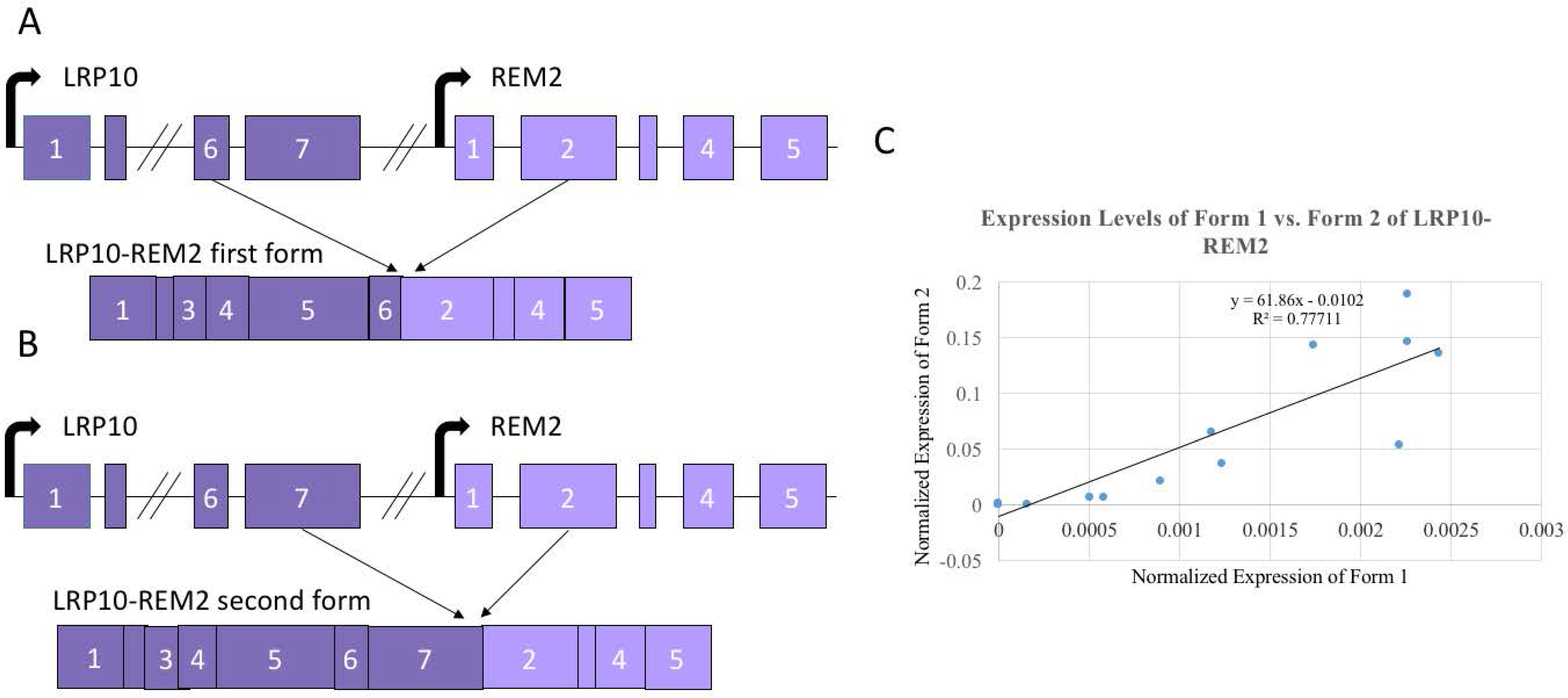 Genes 08 00386 g004 550