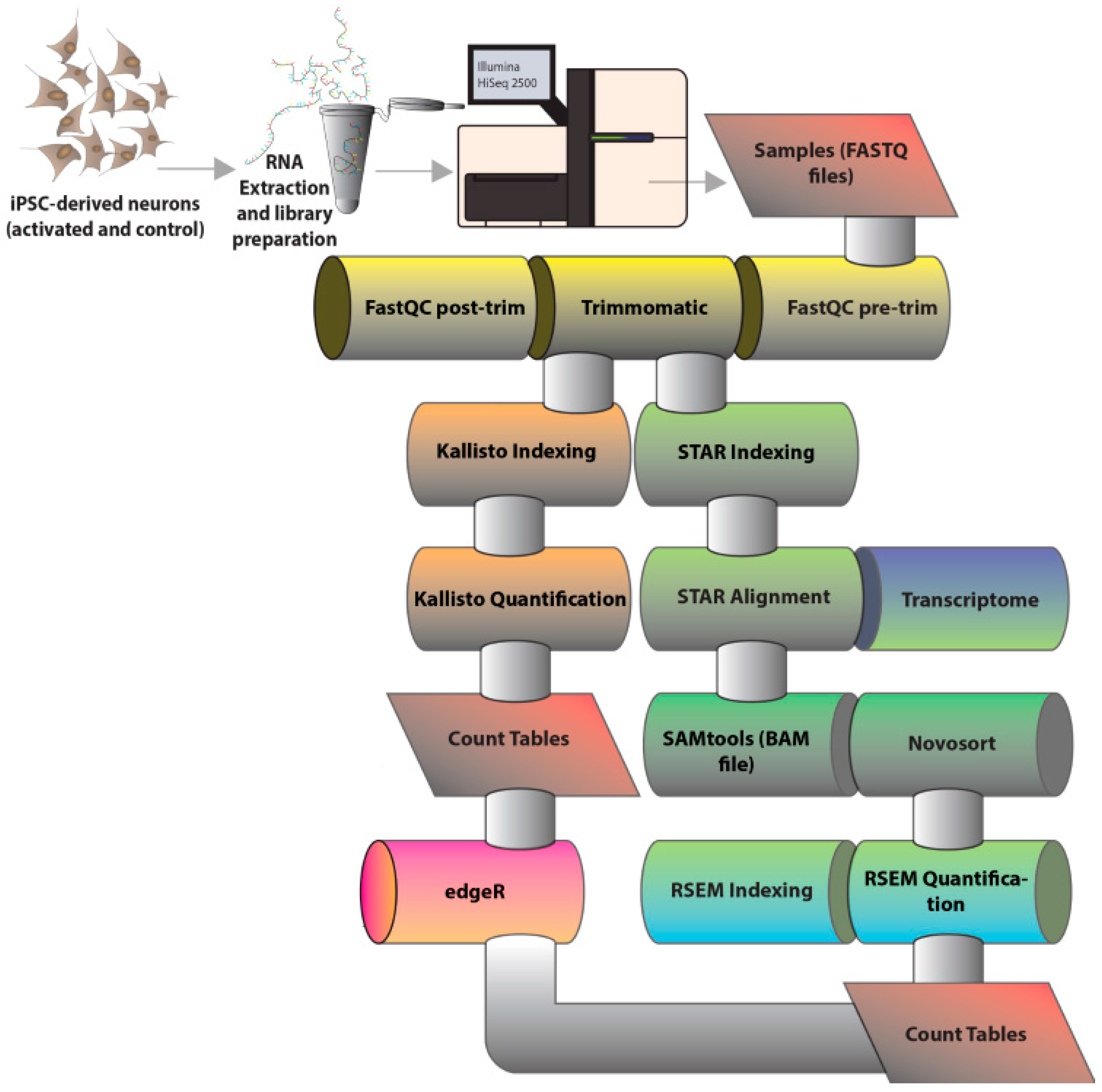 Genes 08 00401 g001 Genes 08 00401 g001