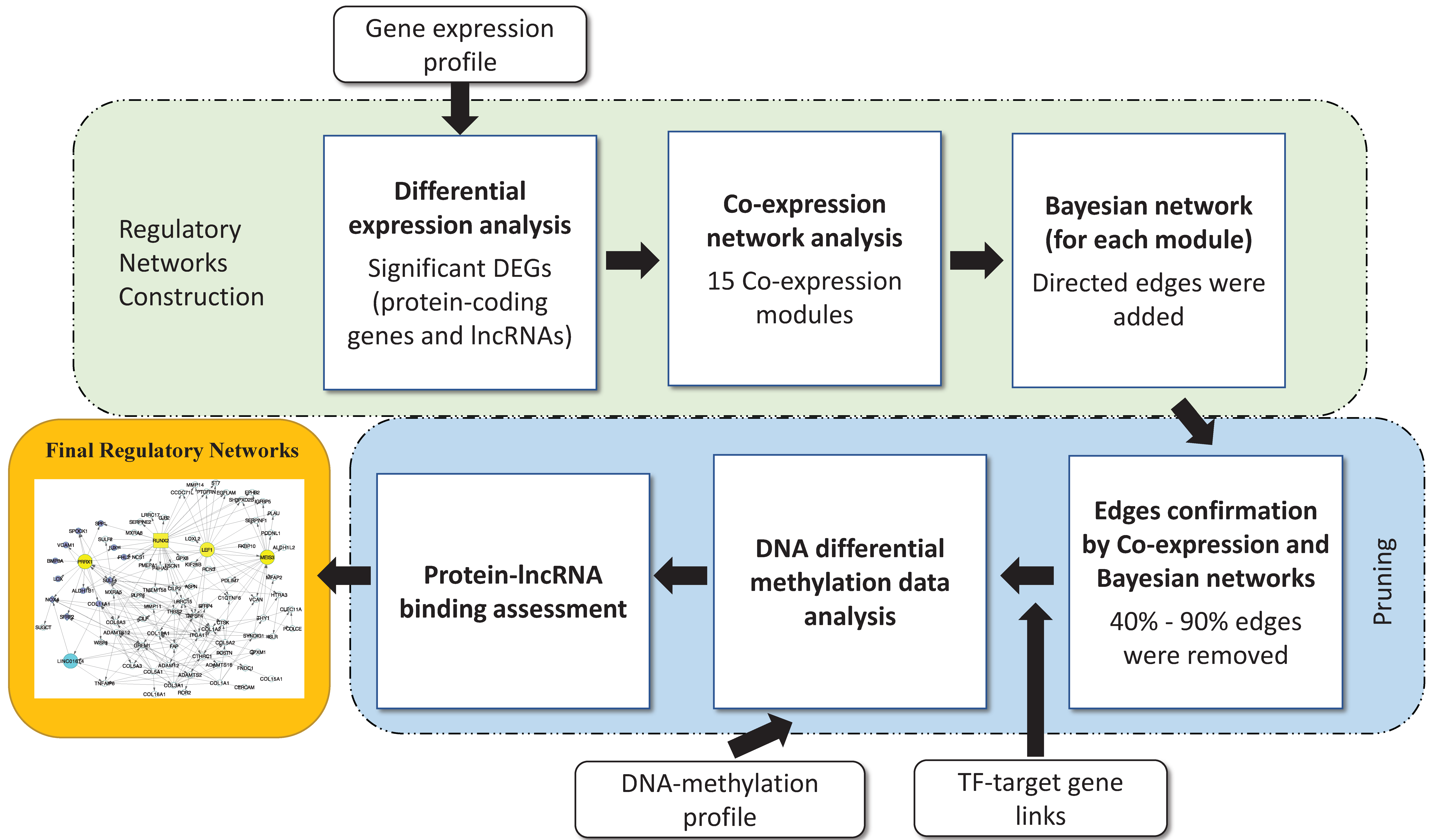 Genes 09 00012 g001