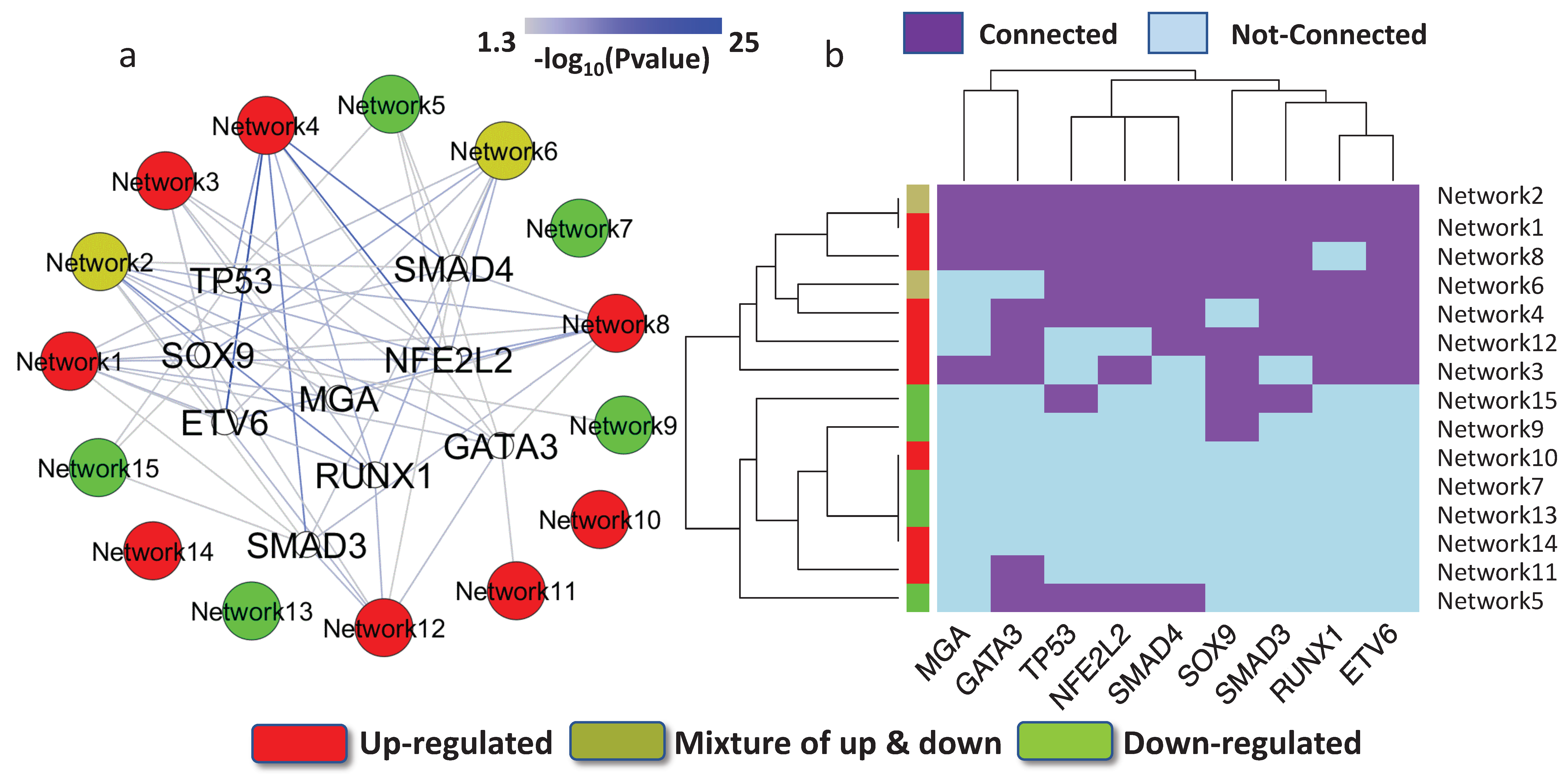 Genes 09 00012 g003