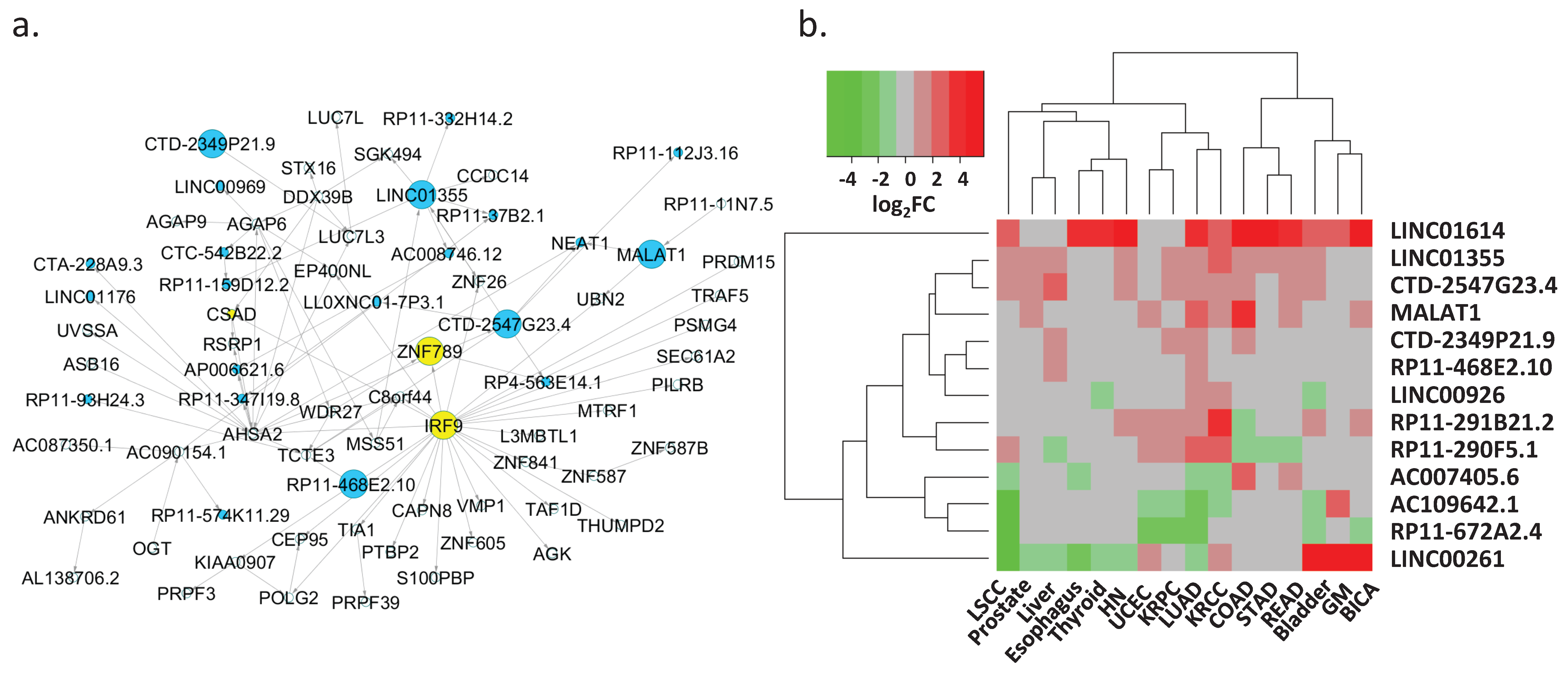 Genes 09 00012 g004