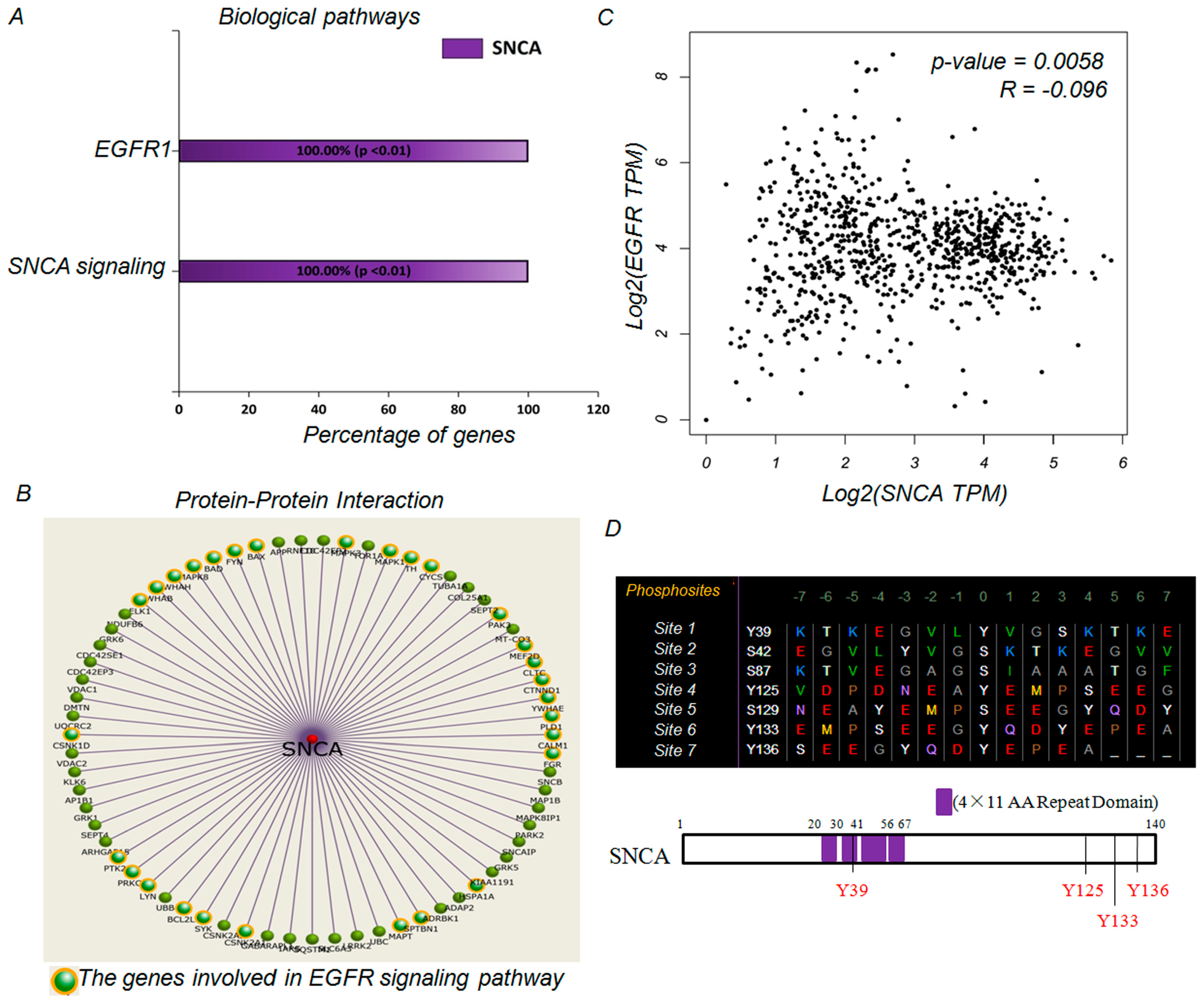 Genes 09 00016 g005 Genes 09 00016 g005