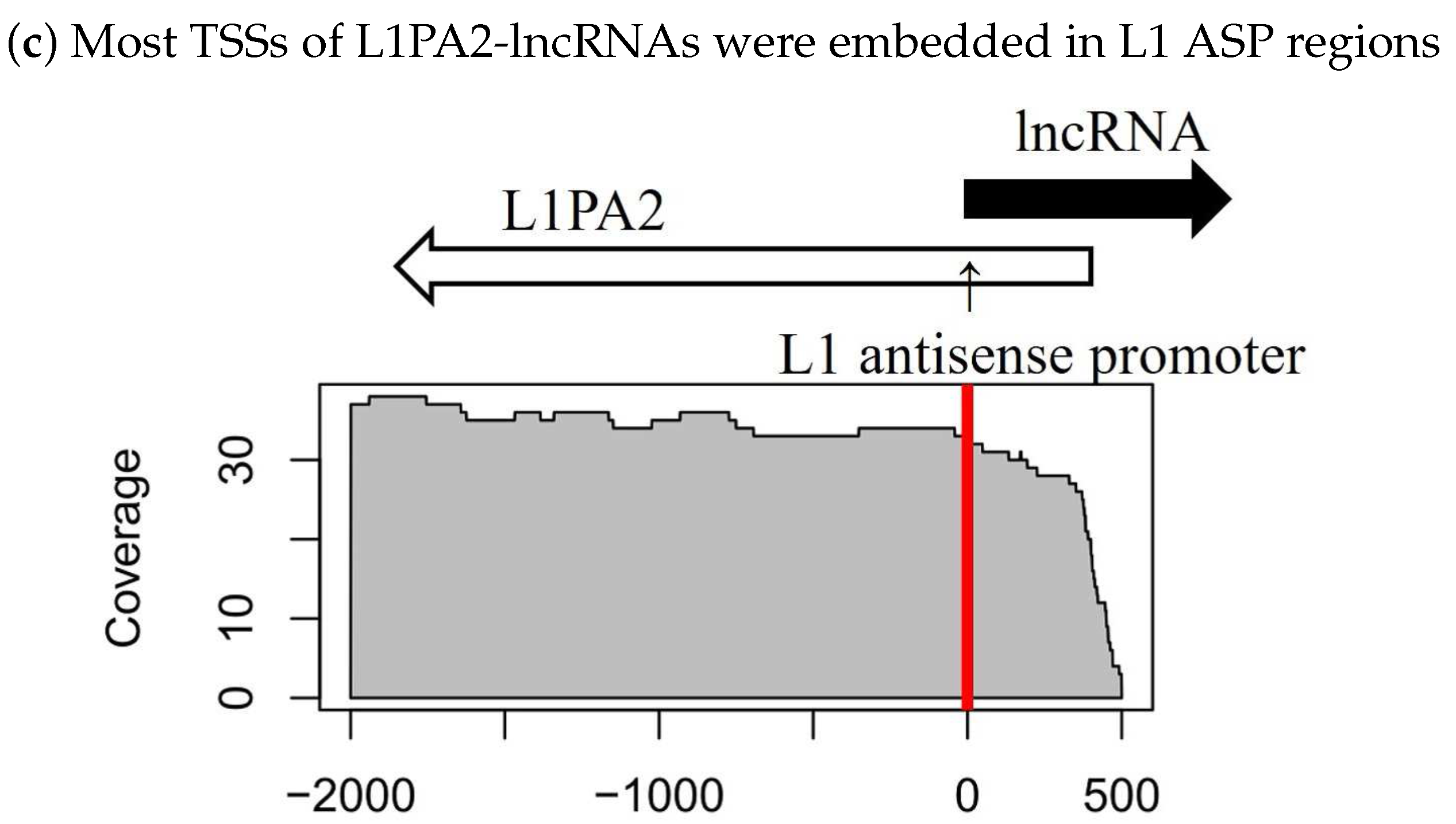 Genes 09 00023 g003b