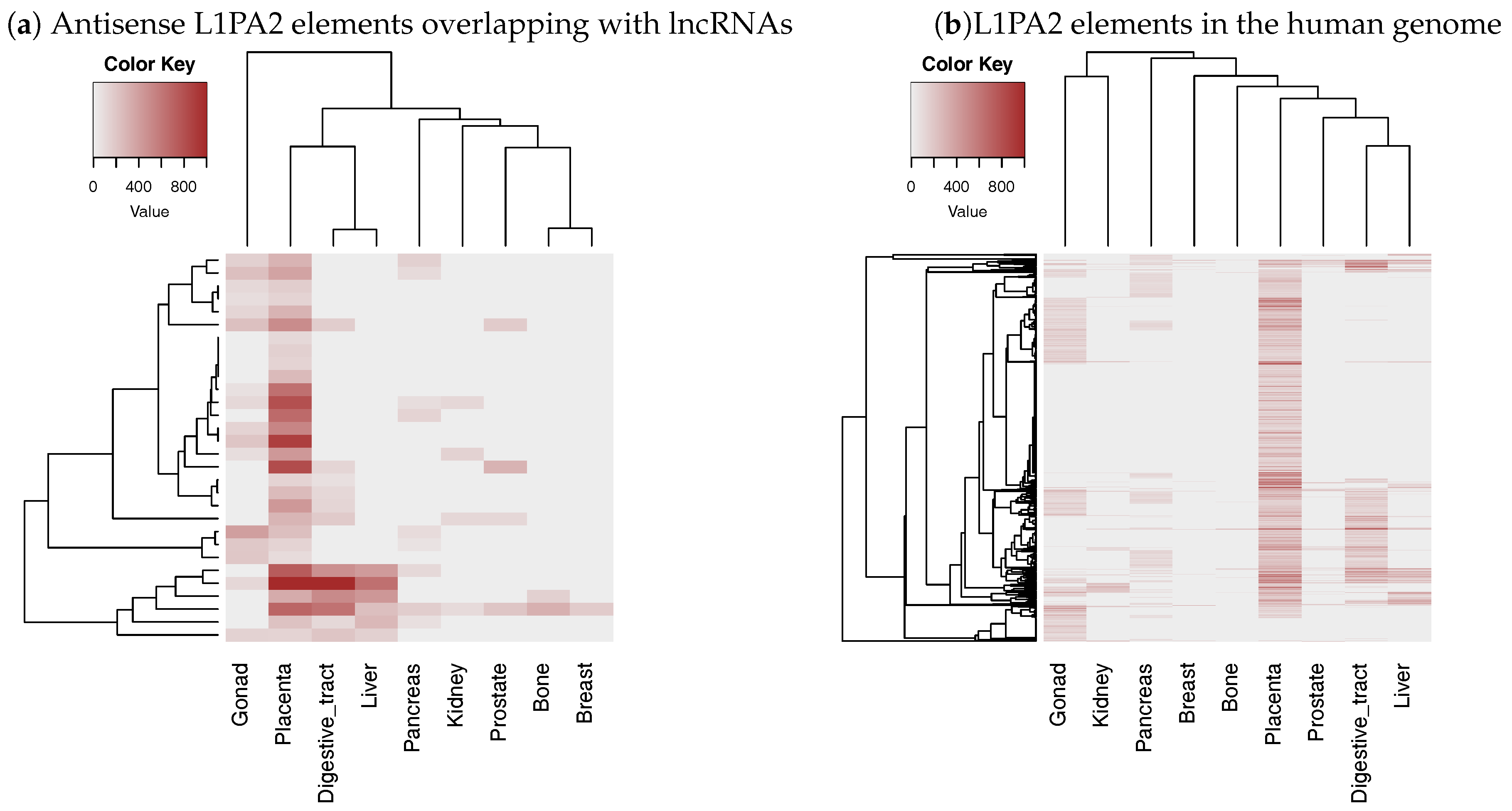 Genes 09 00023 g004