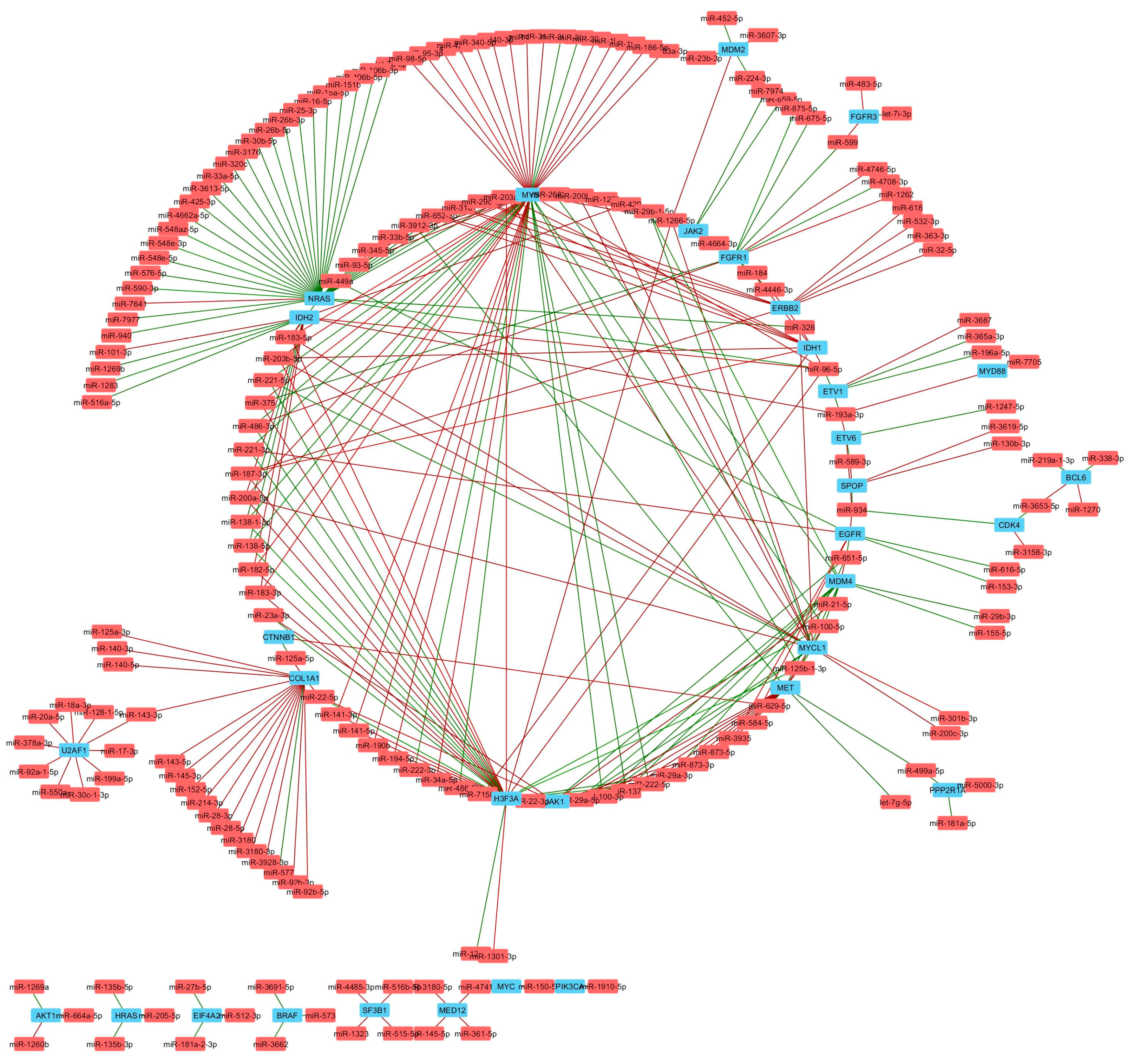 Genes 09 00029 g007 Genes 09 00029 g007
